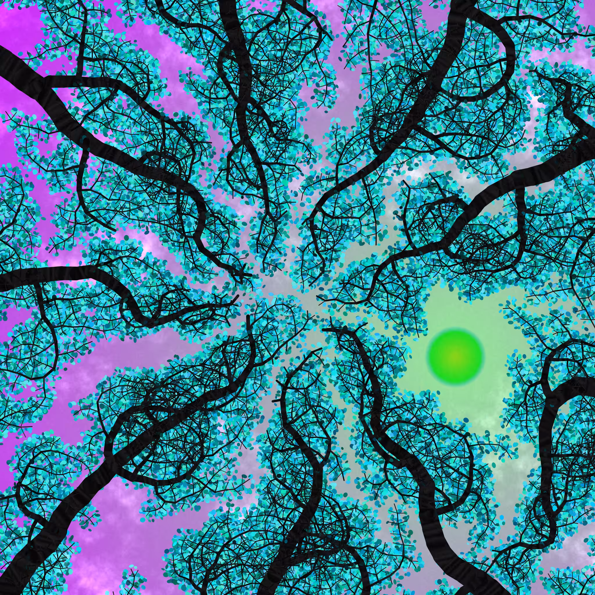 Tree Skyness #226