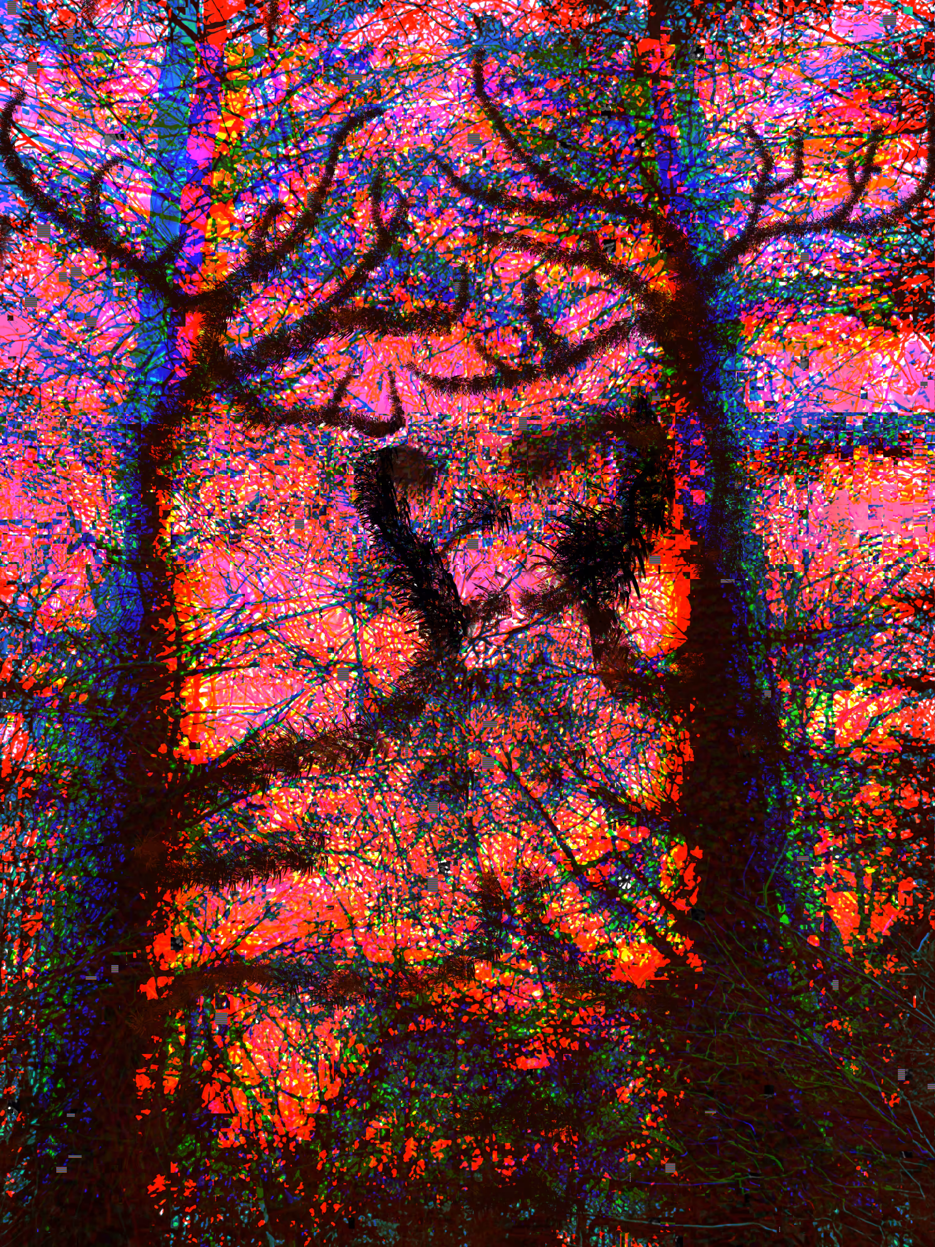 Season of the Witch — Forest Deity