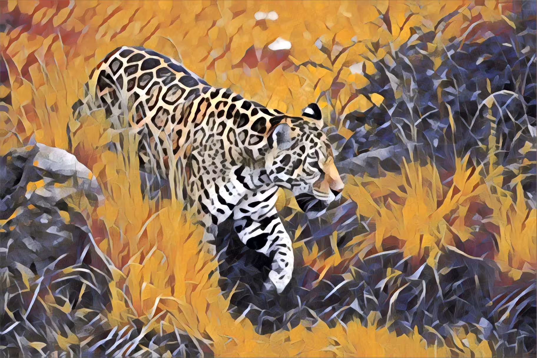 Welcome To The Jungle Collection #1