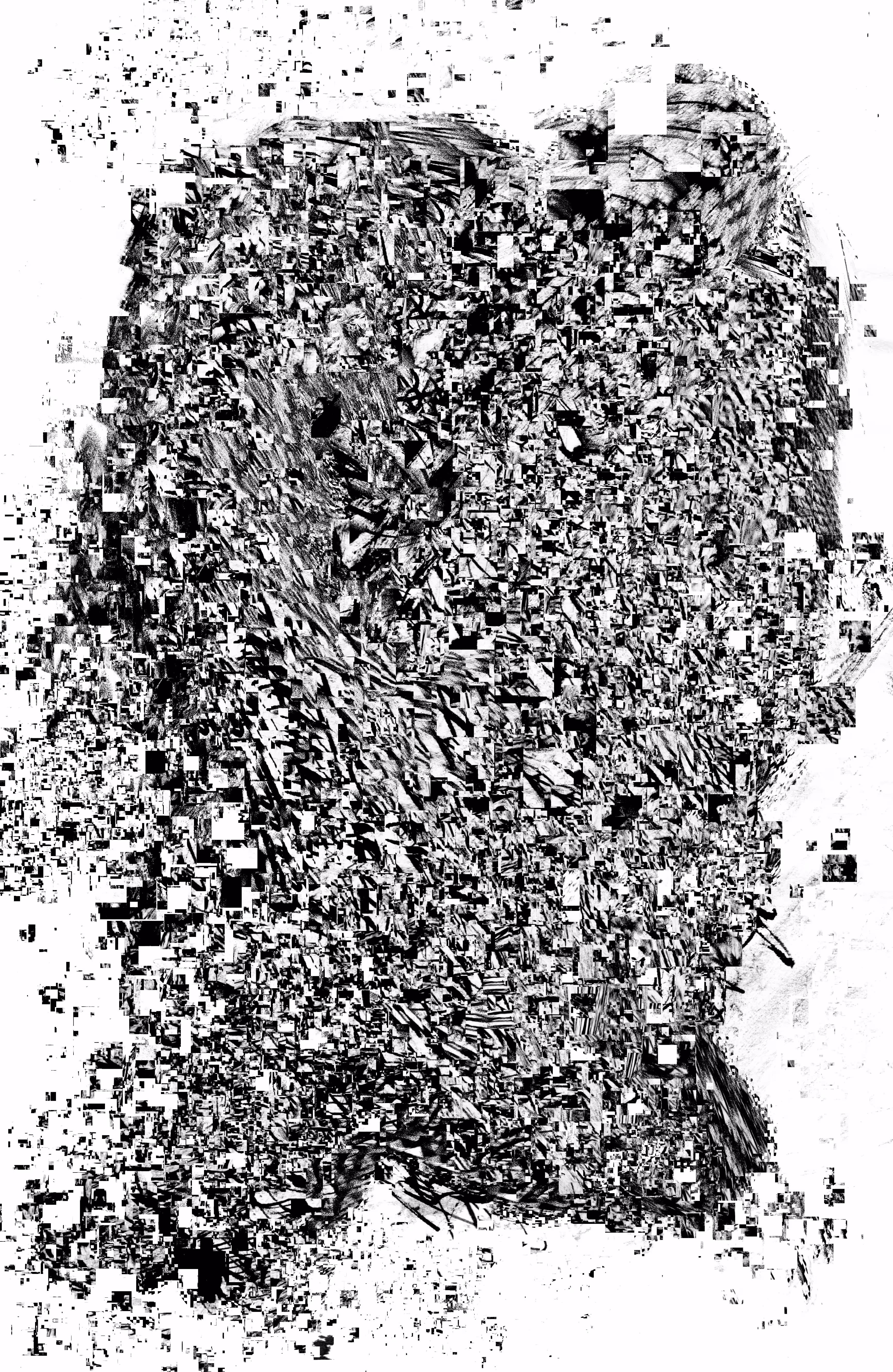 this is your monochrome brain on gooses