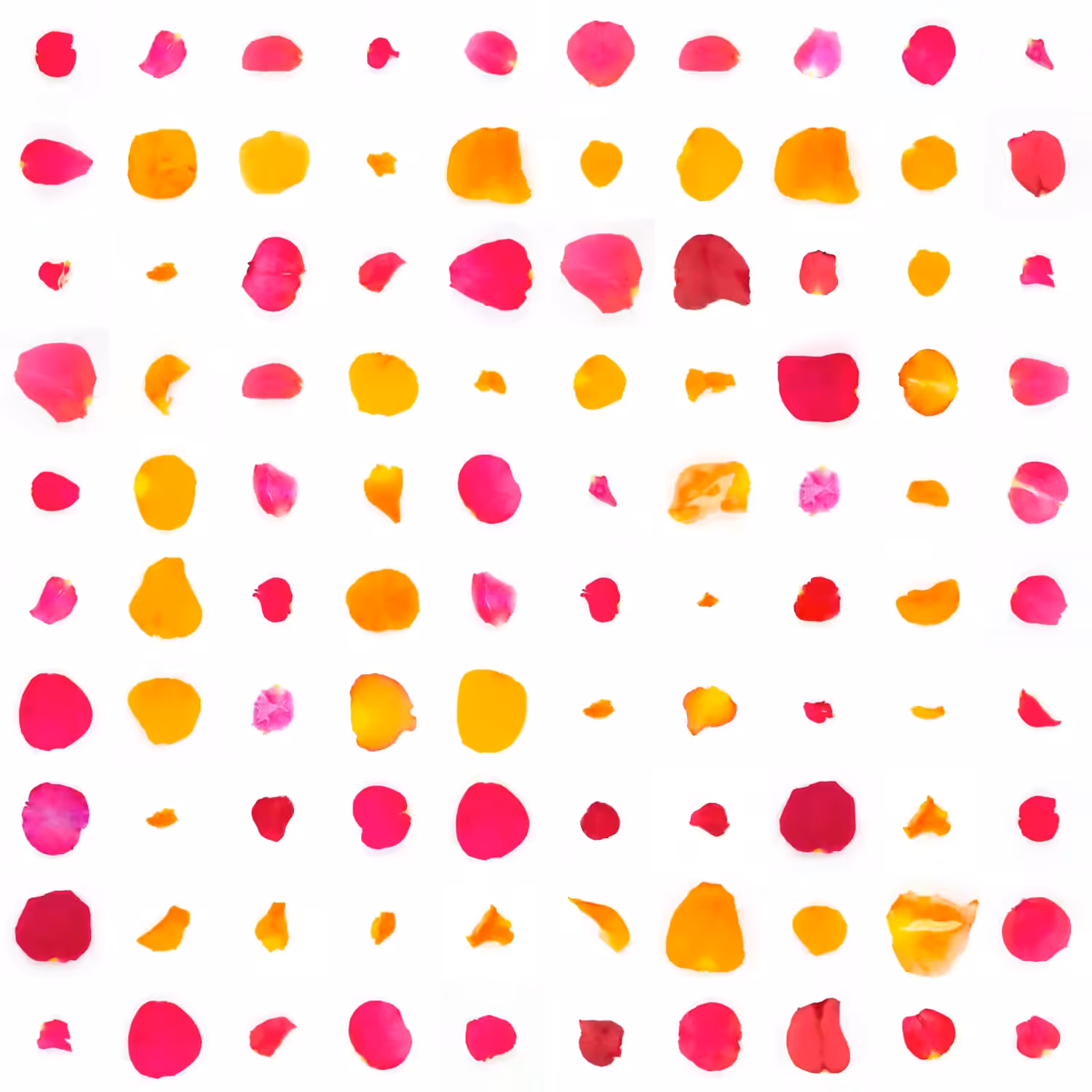 Infinite Petals 10x10#517