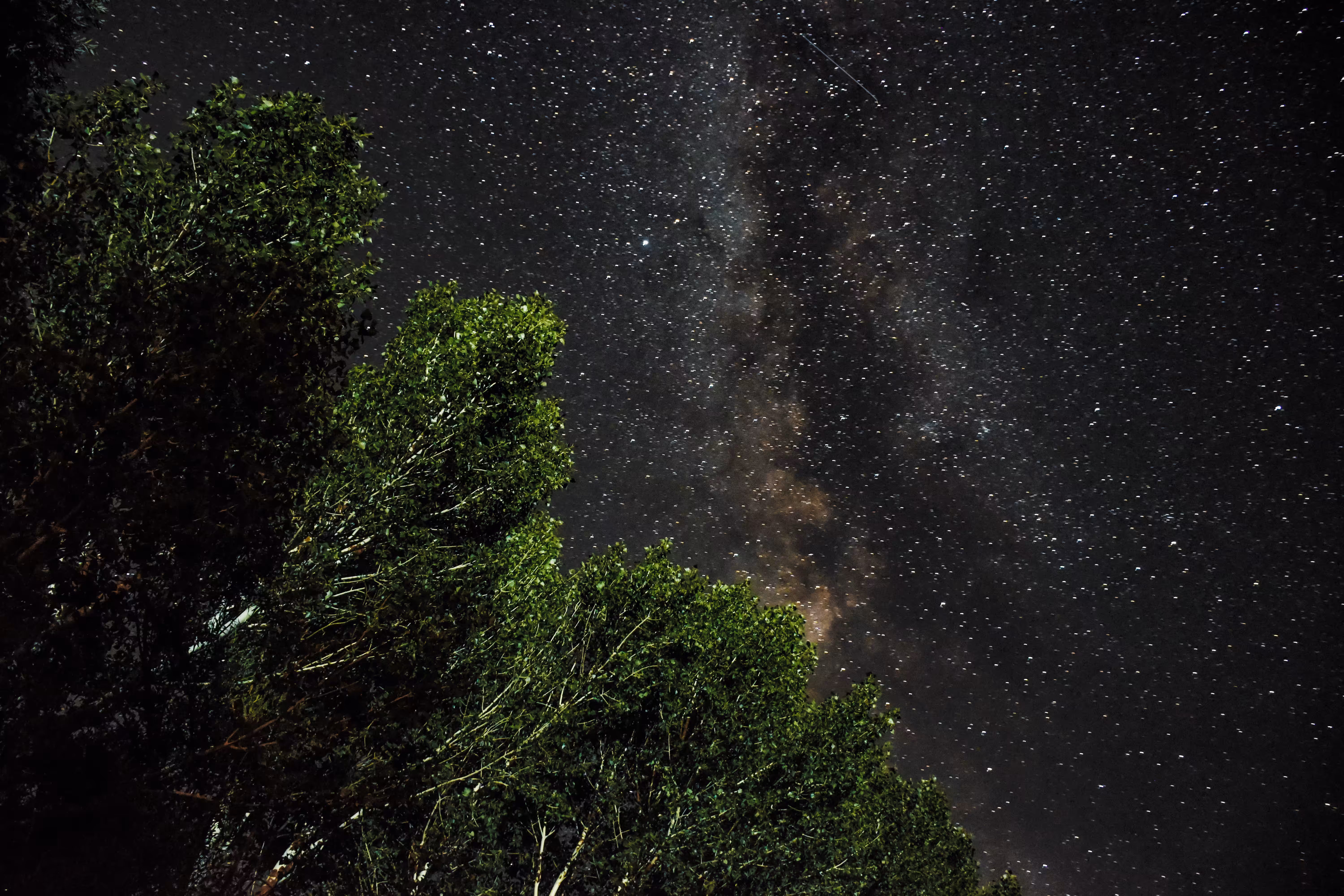 Cosmic Roots
