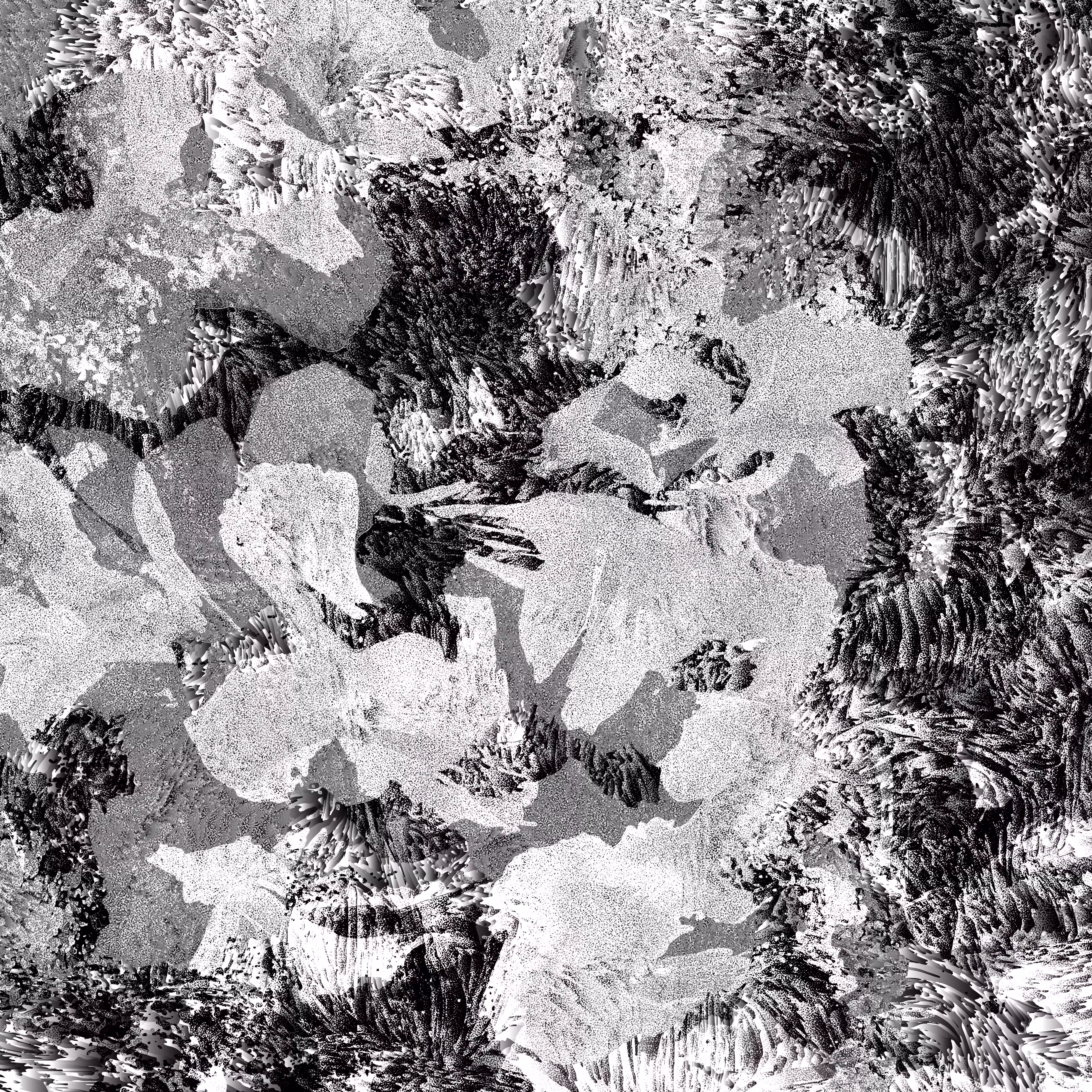 shadow #24