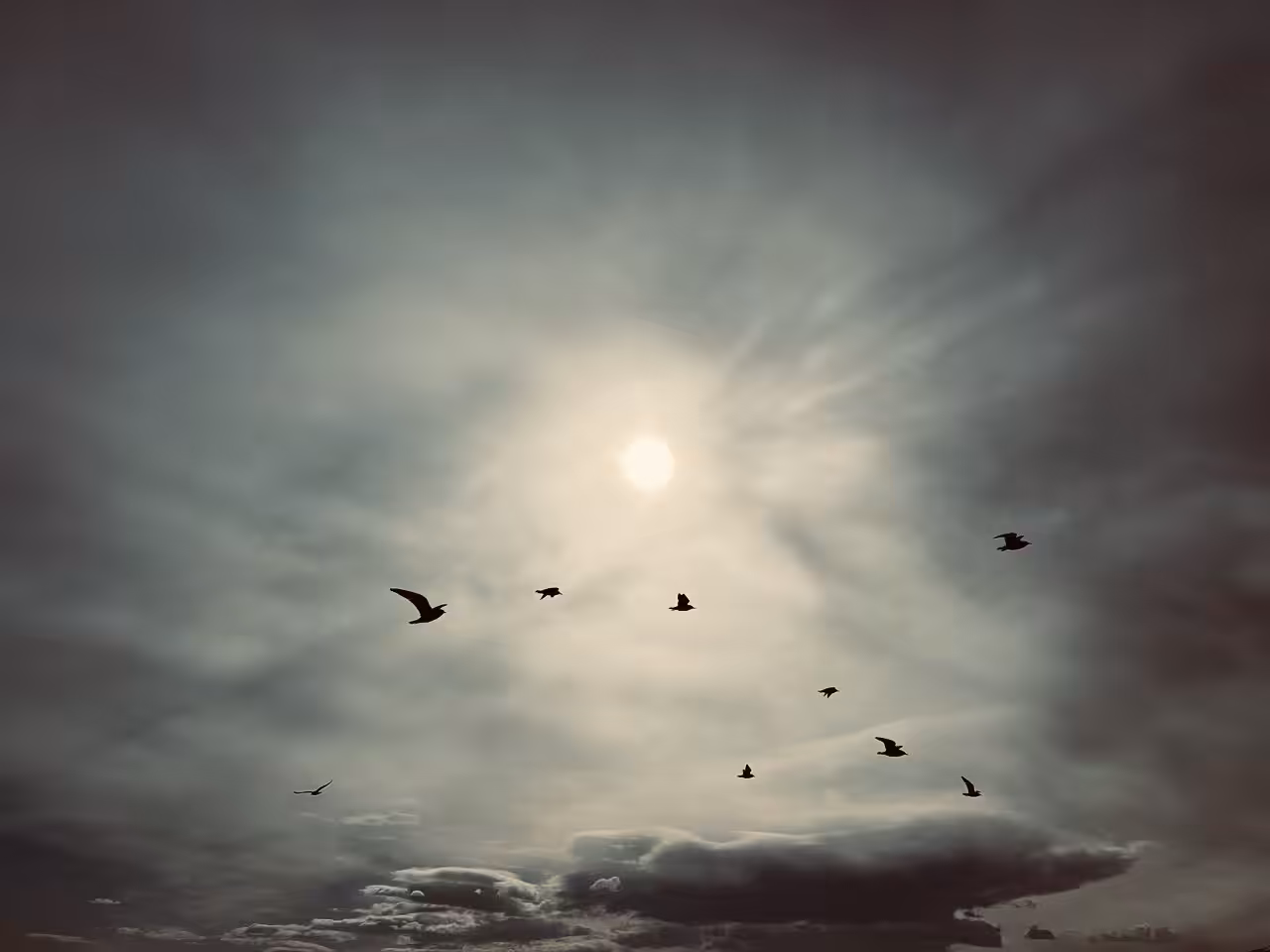 splendor of nature