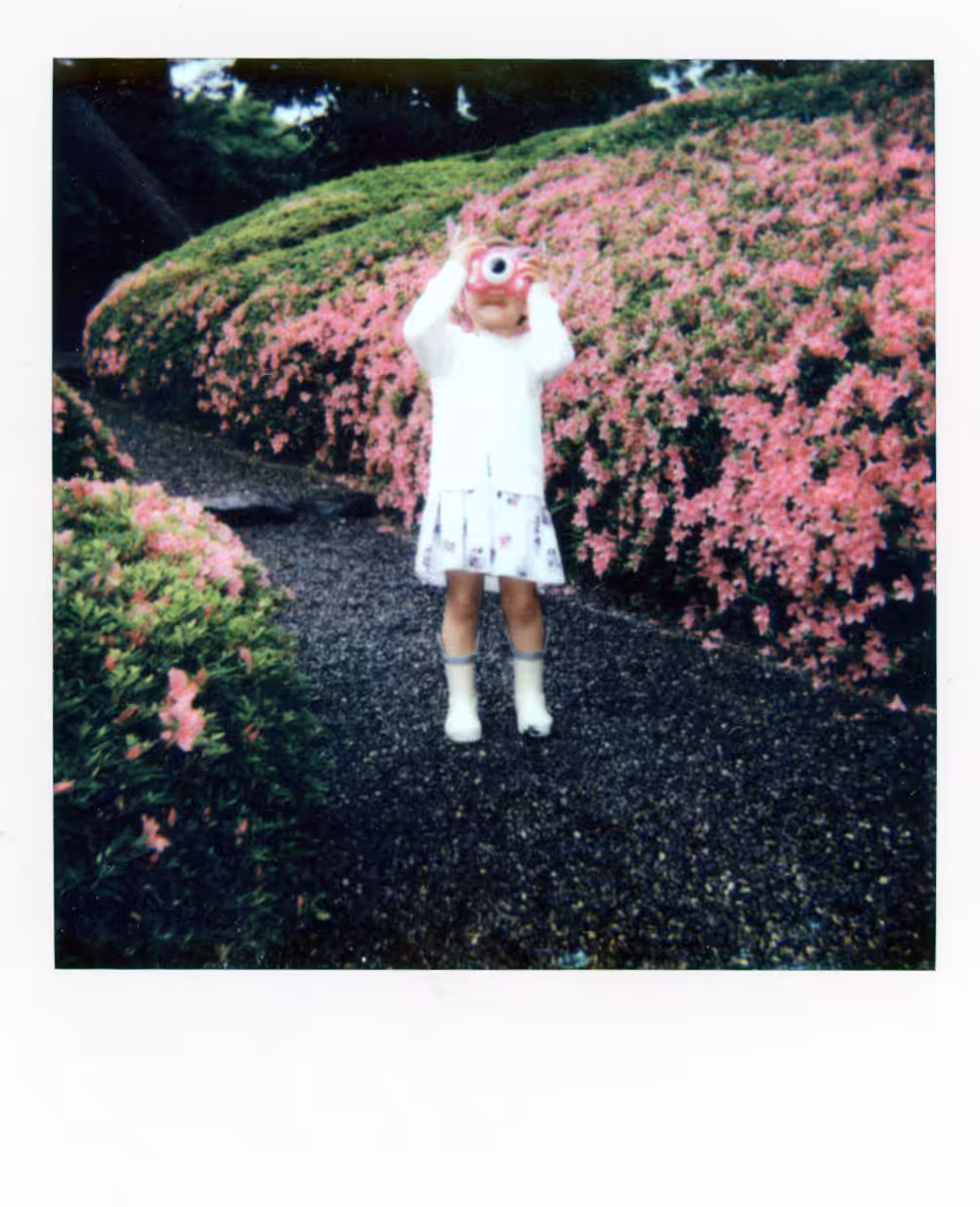 Moments of the Unknown - Polaroids: May 7th