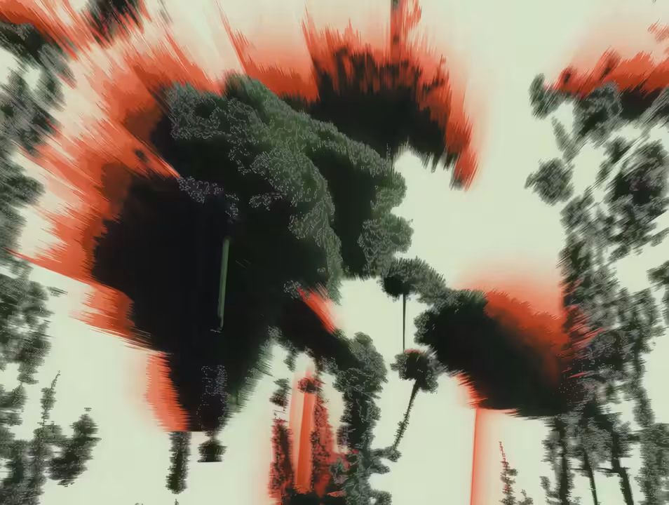 Nqual 5