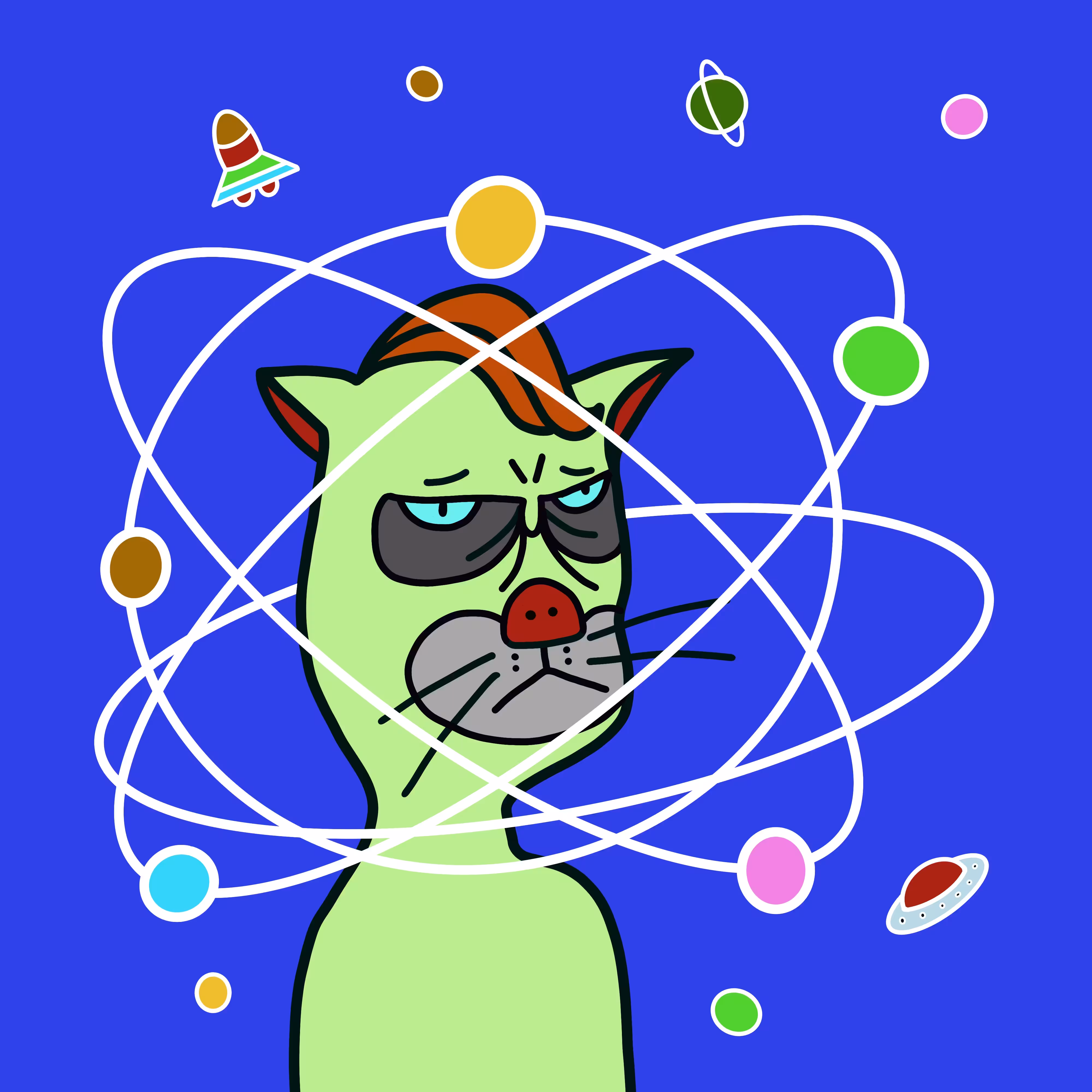Grumpy cat#4