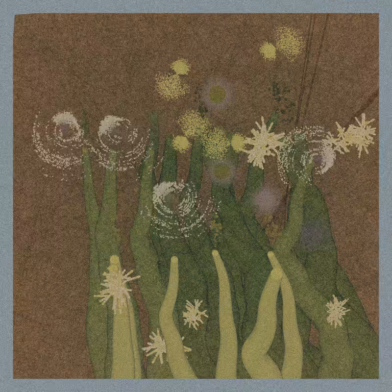 Sea Anemone #66