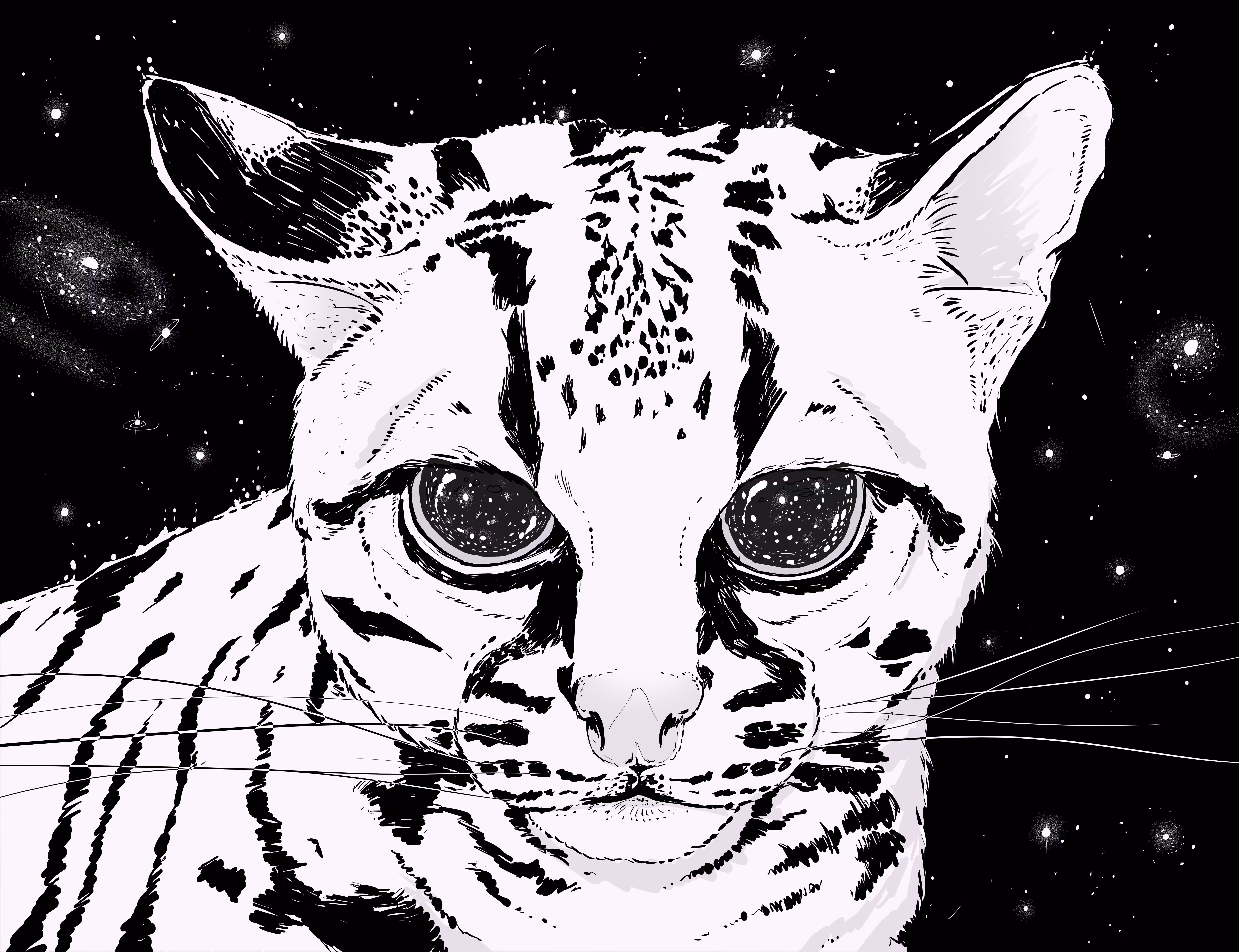 Cosmic Leopard