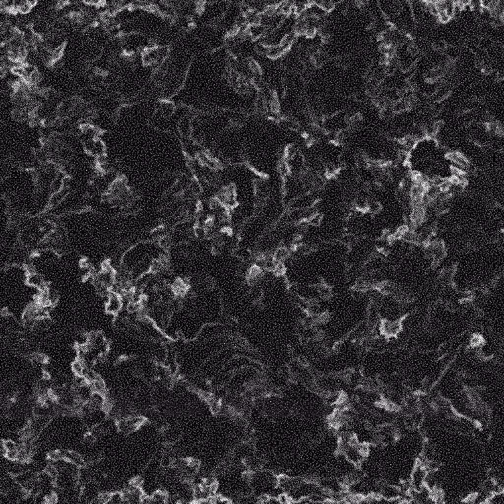 Noise #153 