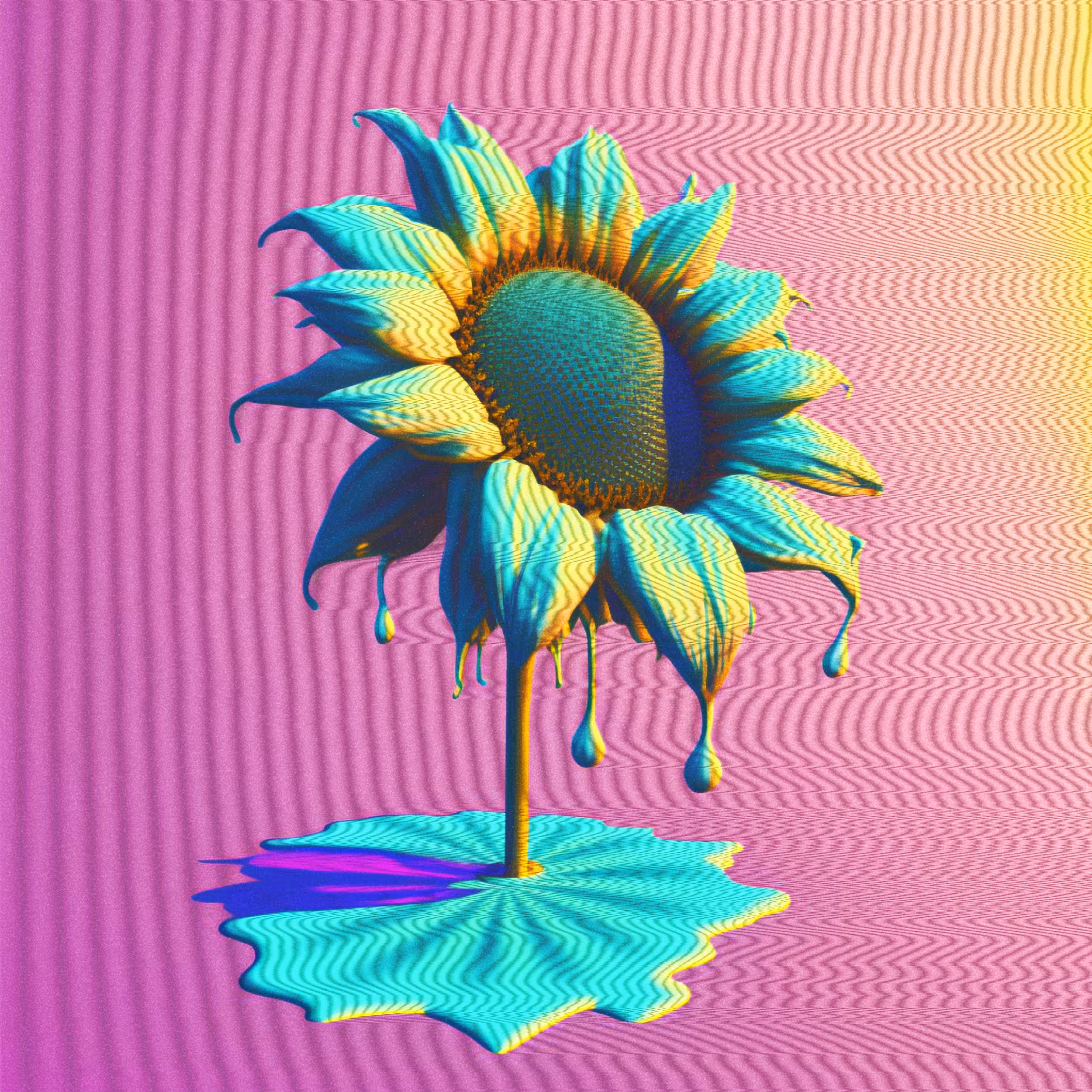 Melt