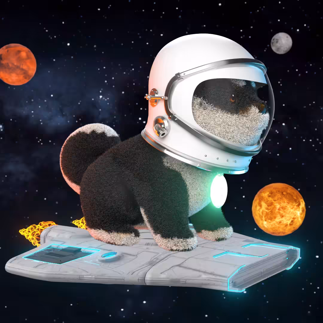 Crypto Shiba Astronaut