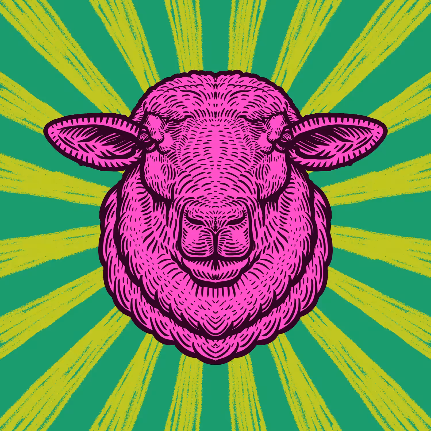 Nation of Sheep #5