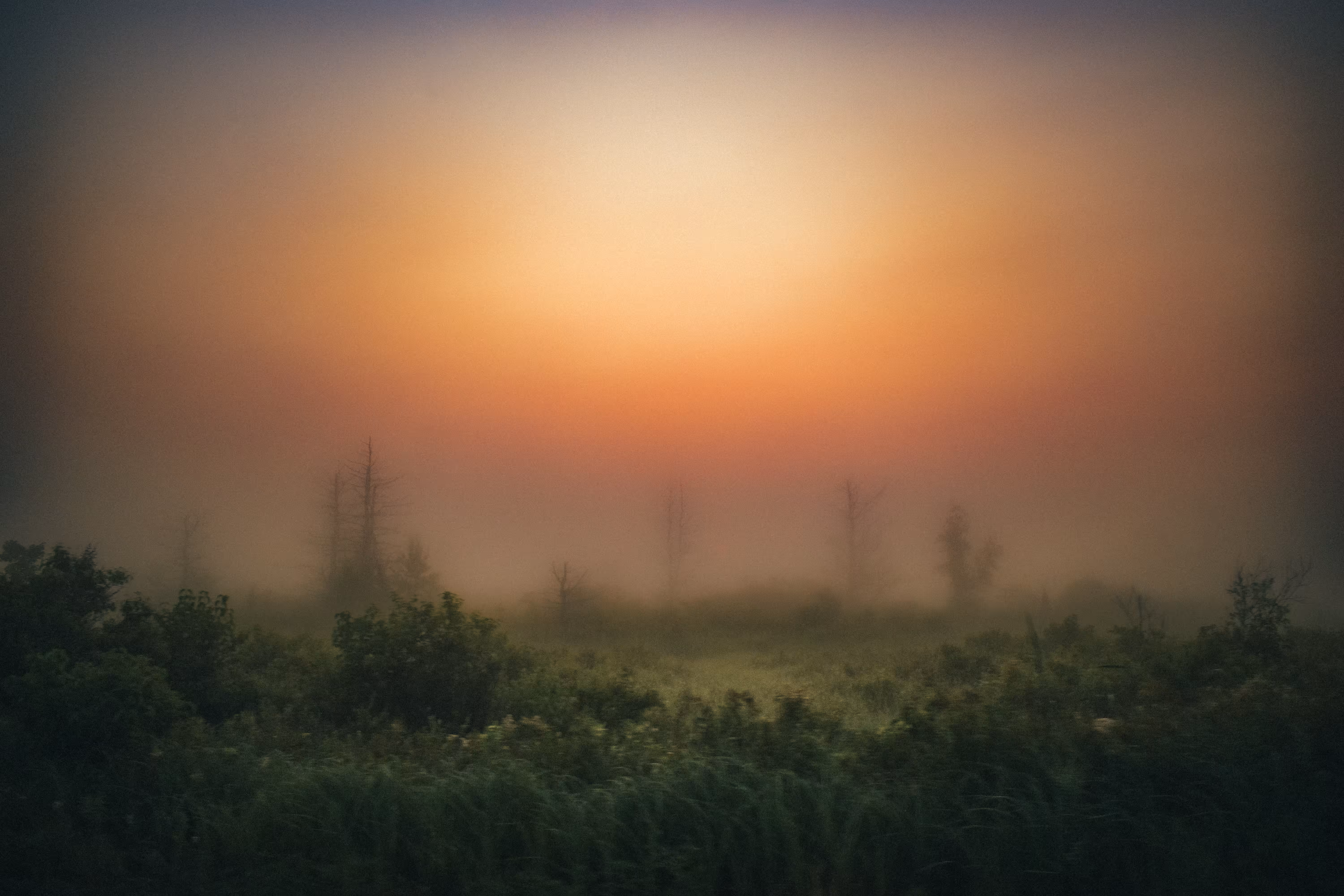 Into the light