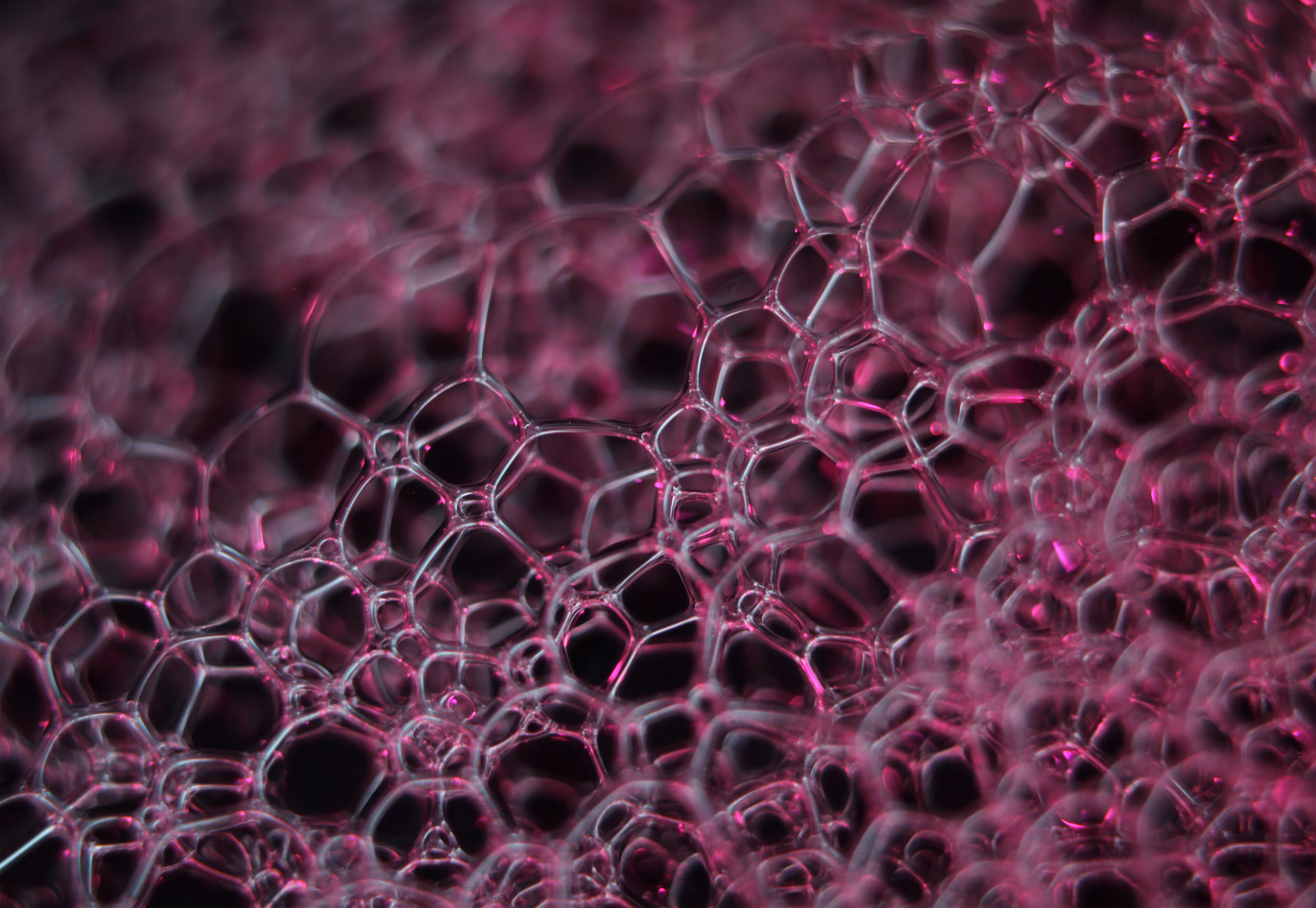 #213 Bubbles
