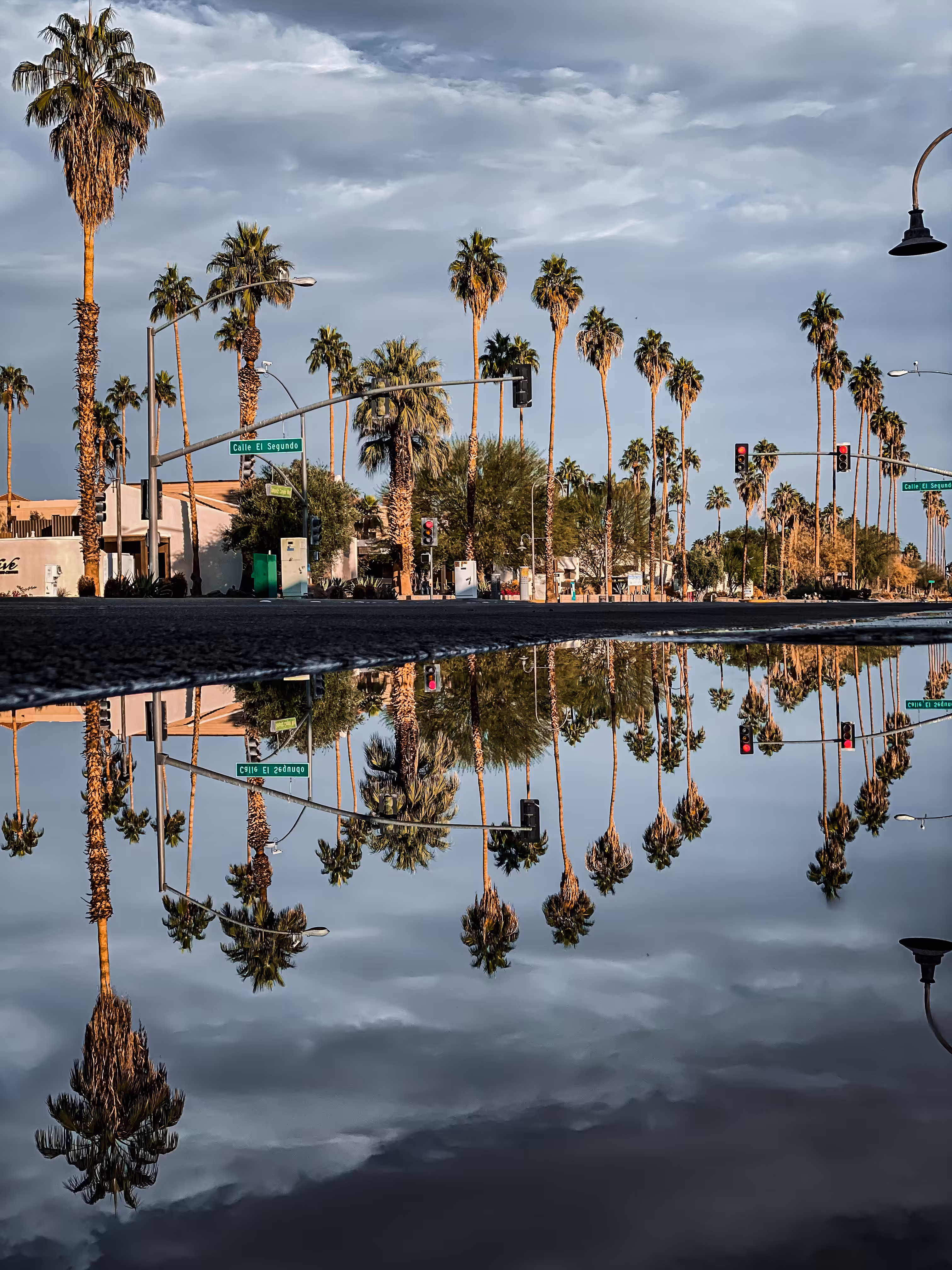 Reflection Road