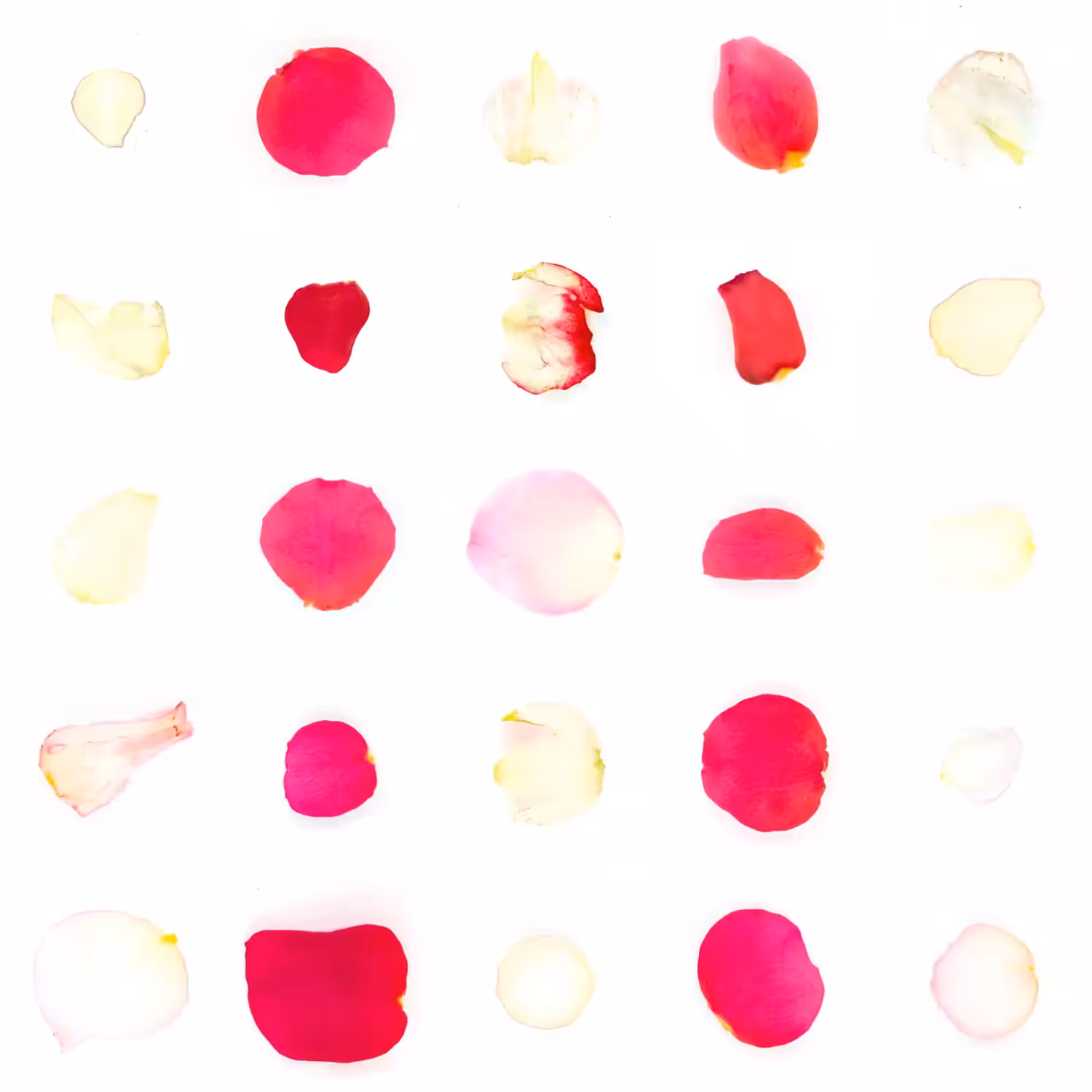 Infinite Petals 5x5#20054