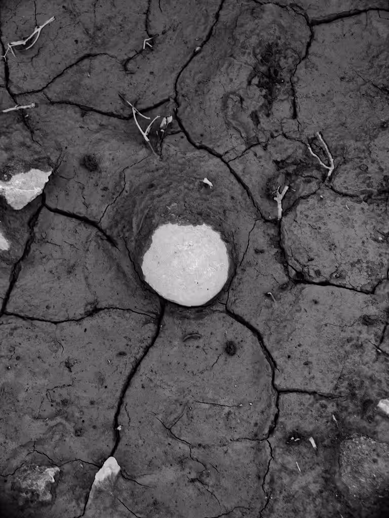 Sisyphus Lost It