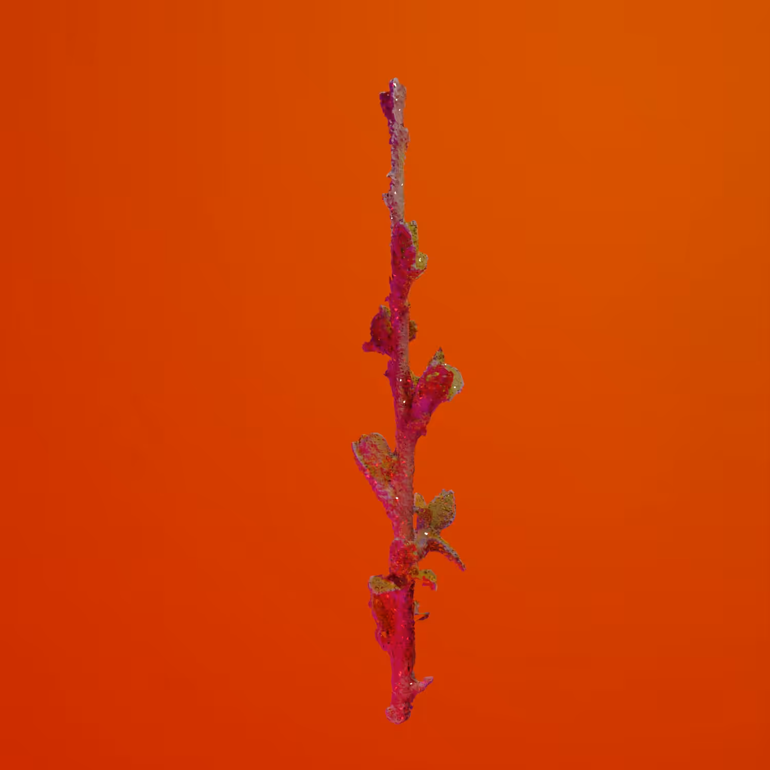 Proof of Expenditure (4 Saps) #4: Kea Plum