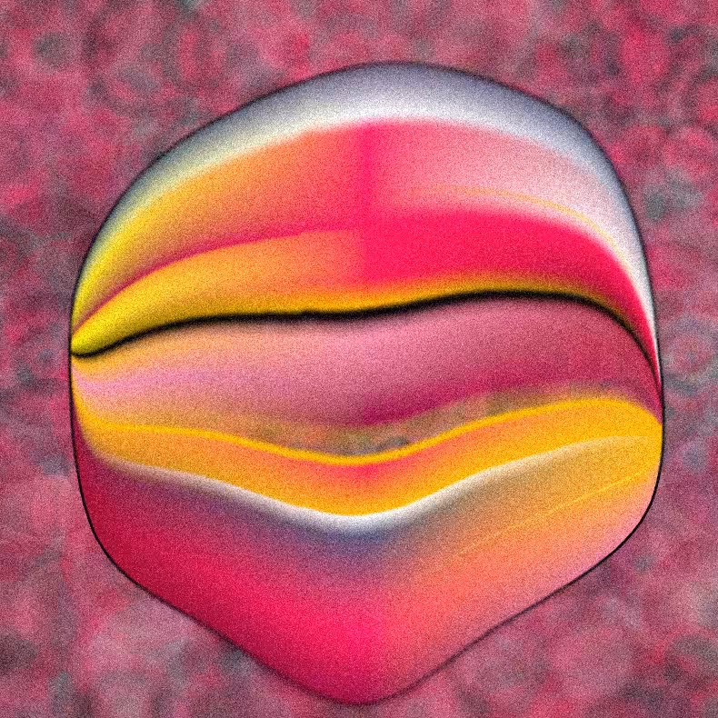 Gradientropy #19