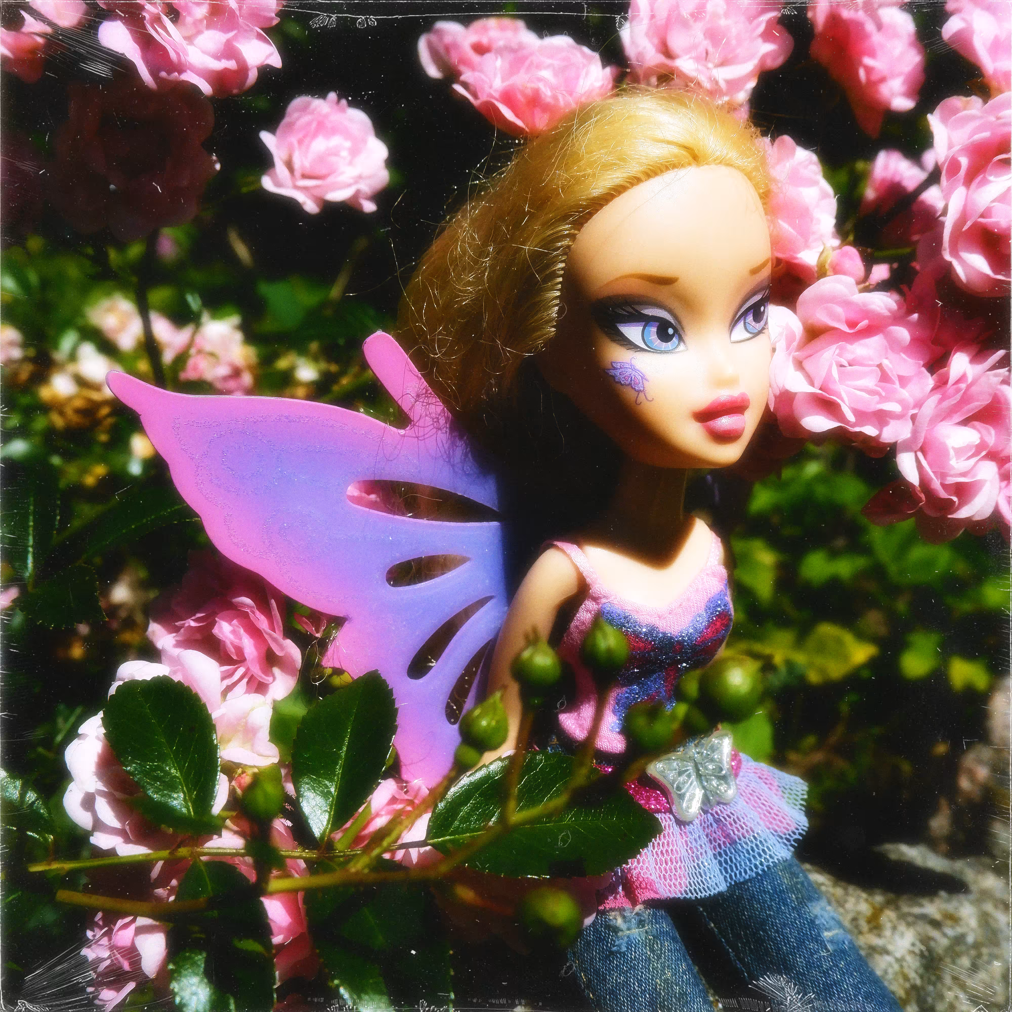 Fairy