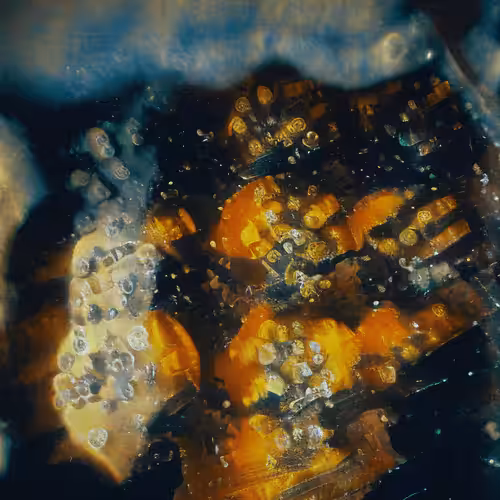 Molecular Atlas #52