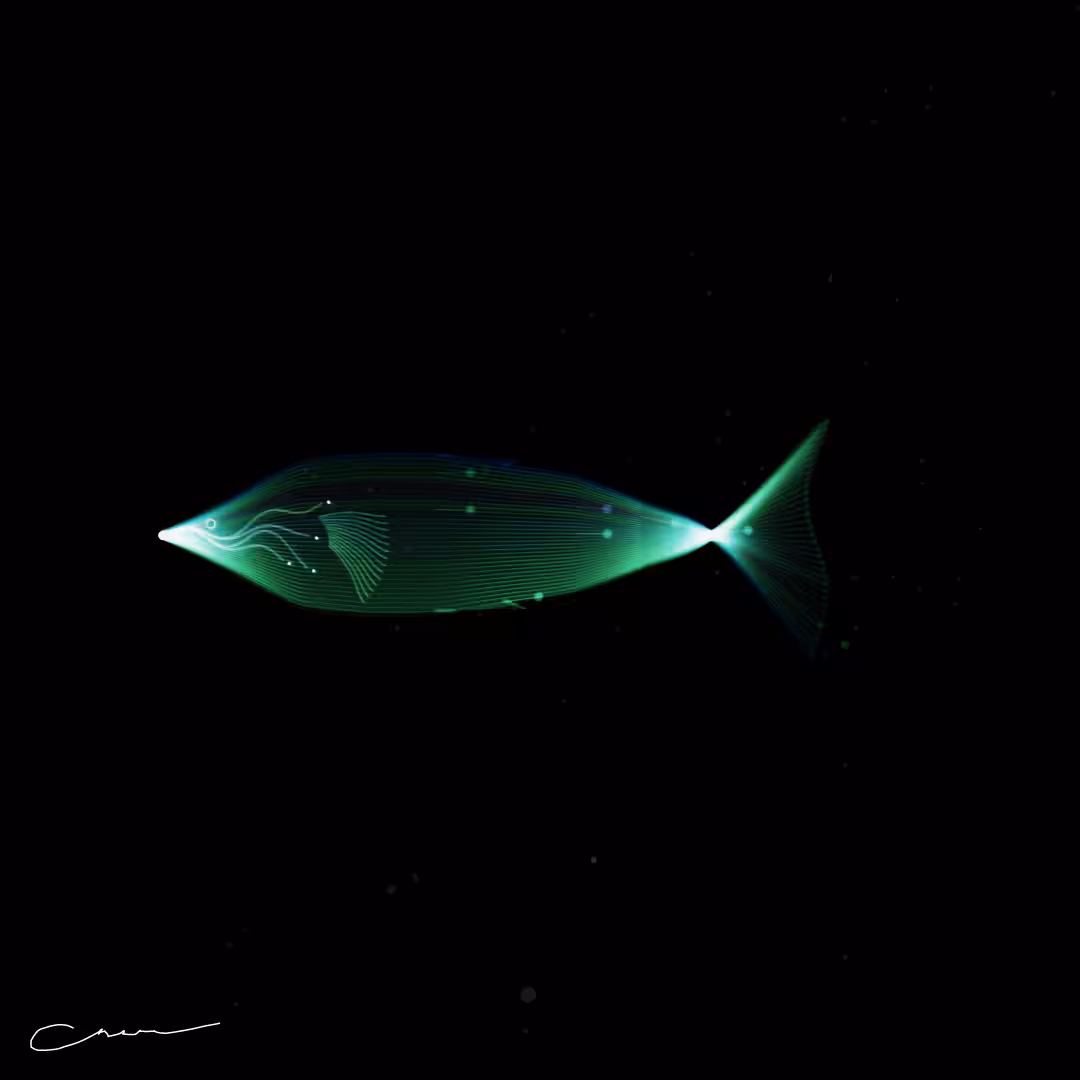 SoulFish #144