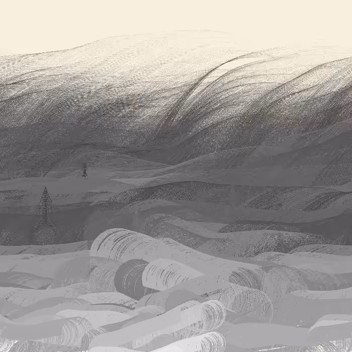Valley of Ashes #45