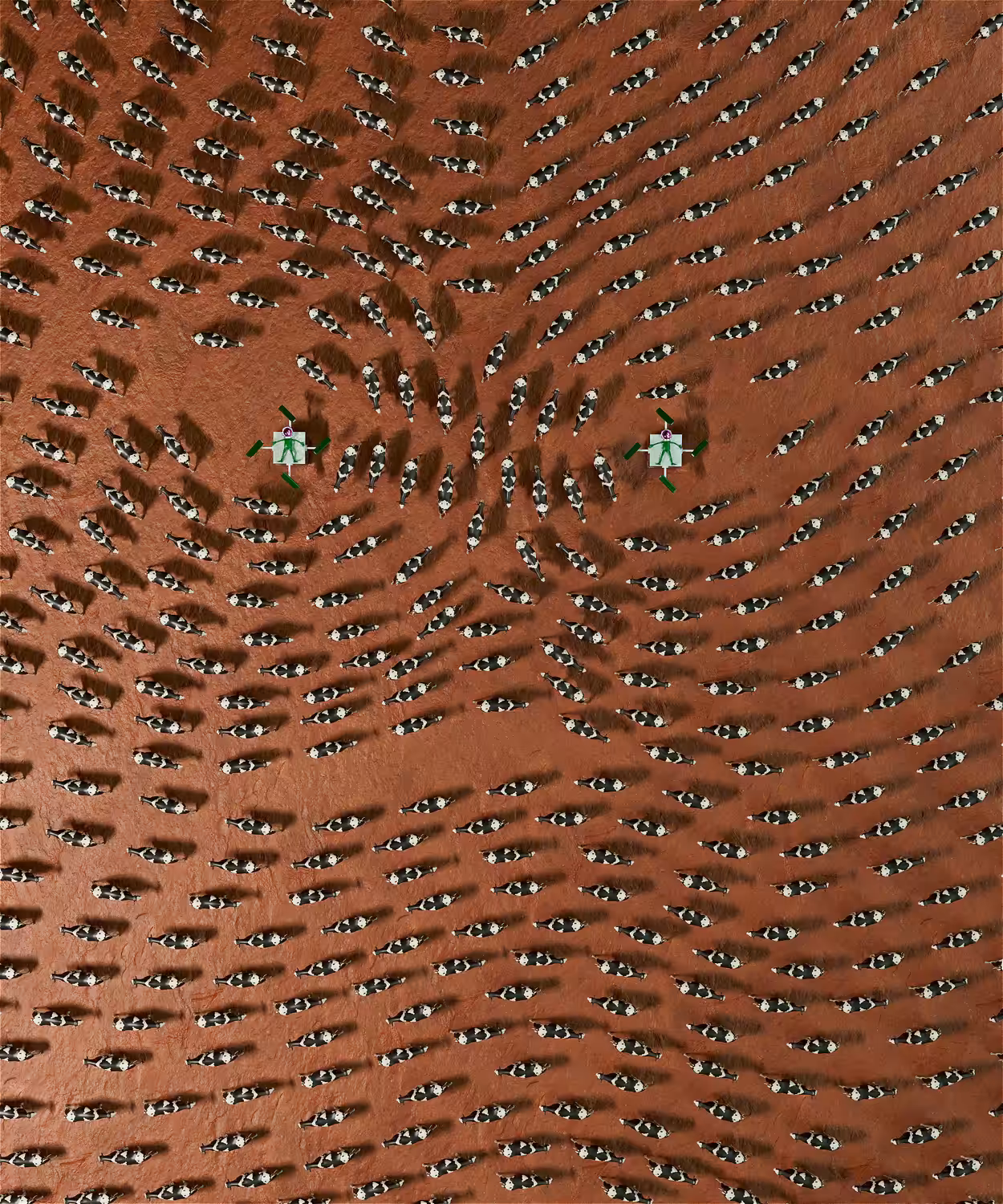 🐸01001101 01000001 01010010 01010011🐸