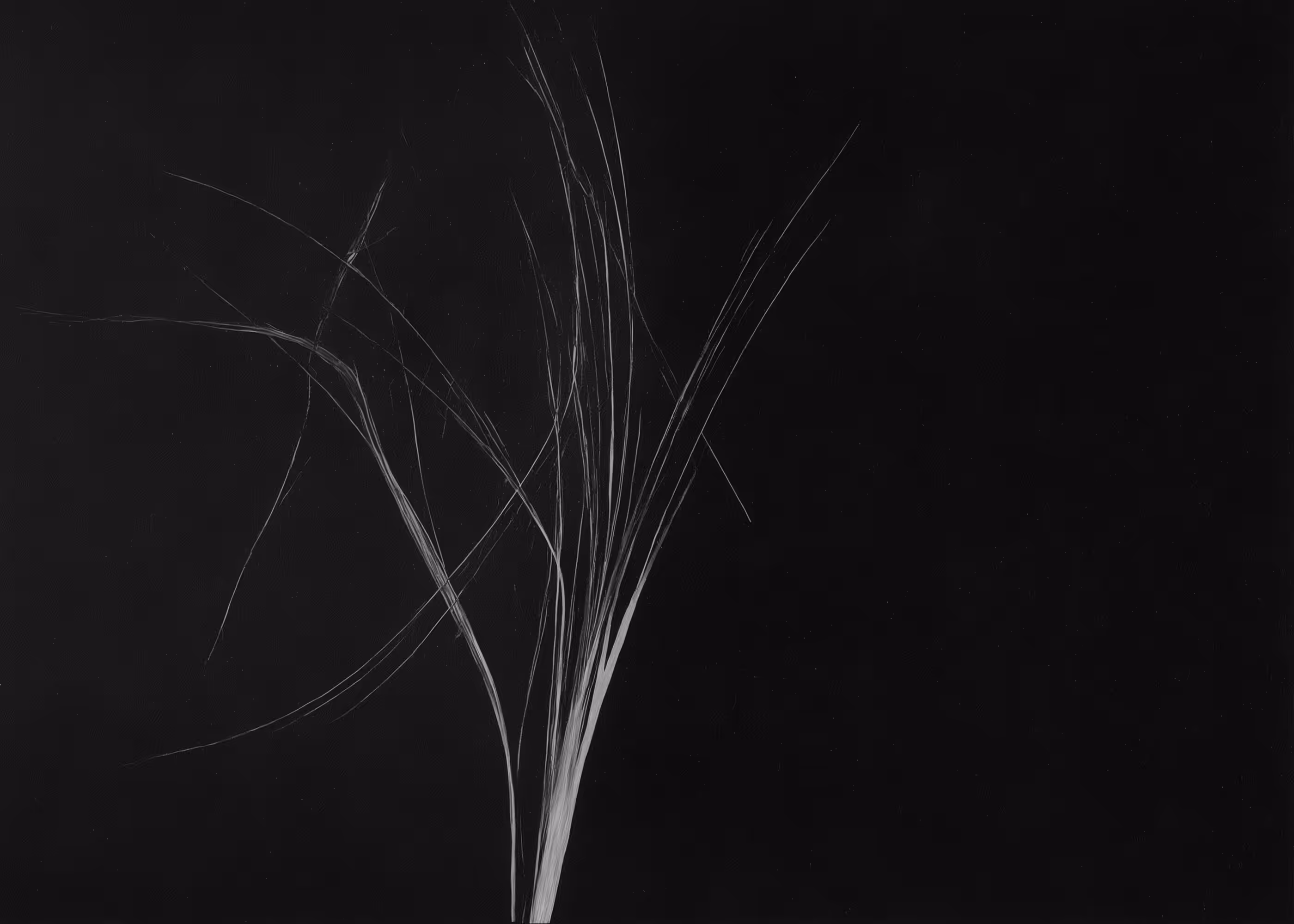 Lumens #269