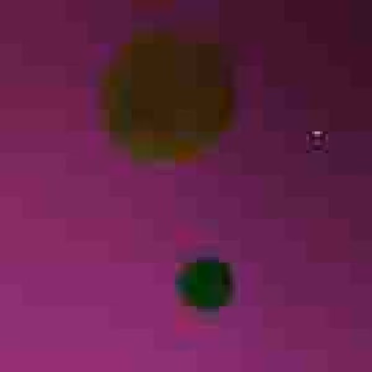 Orbit 131300347