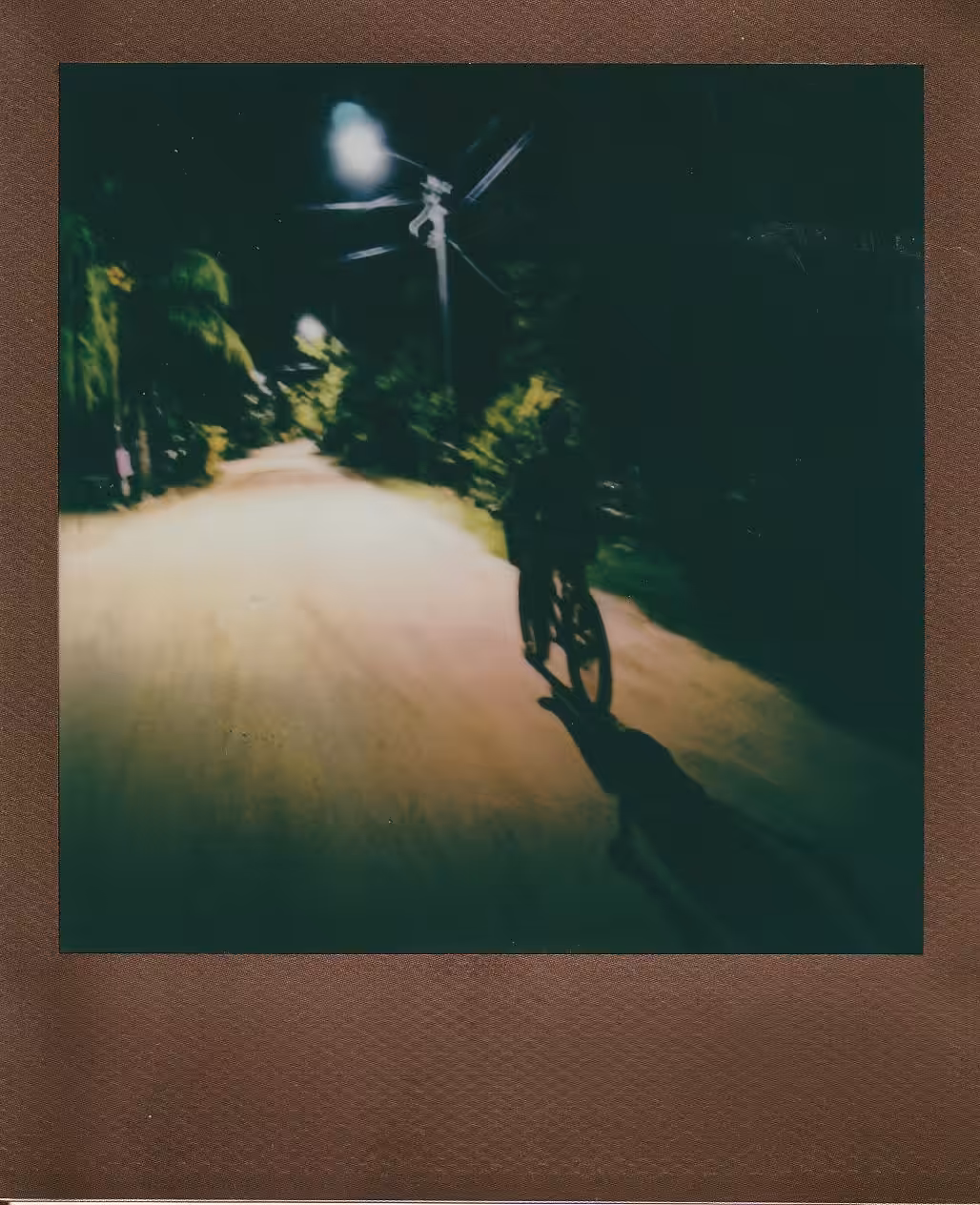 Night Rider