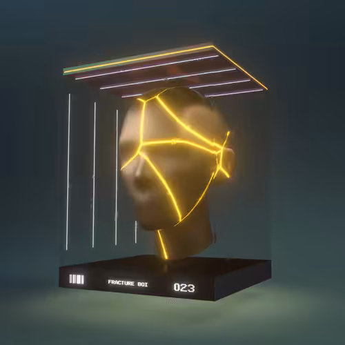 Fracture Boi: FRACTURE BOI - 023