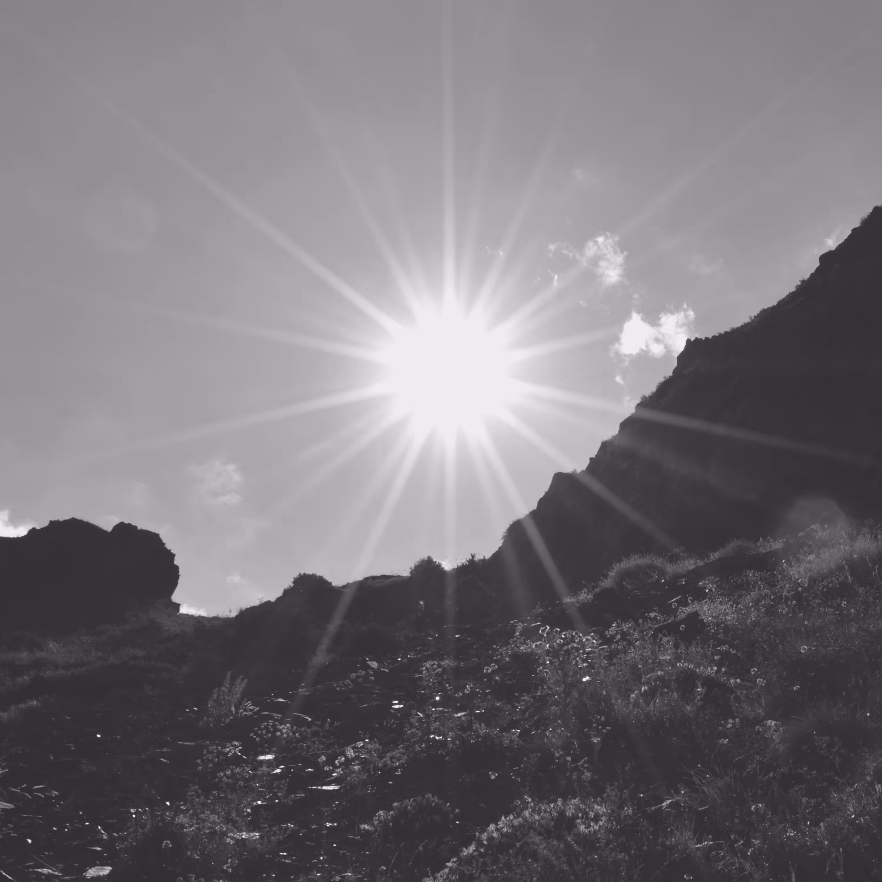 Summer Sun