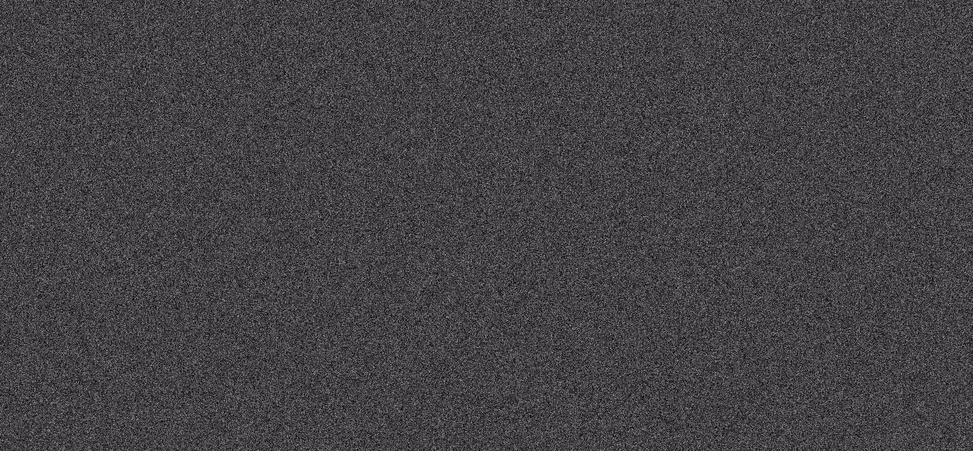 WE ARE NOISE