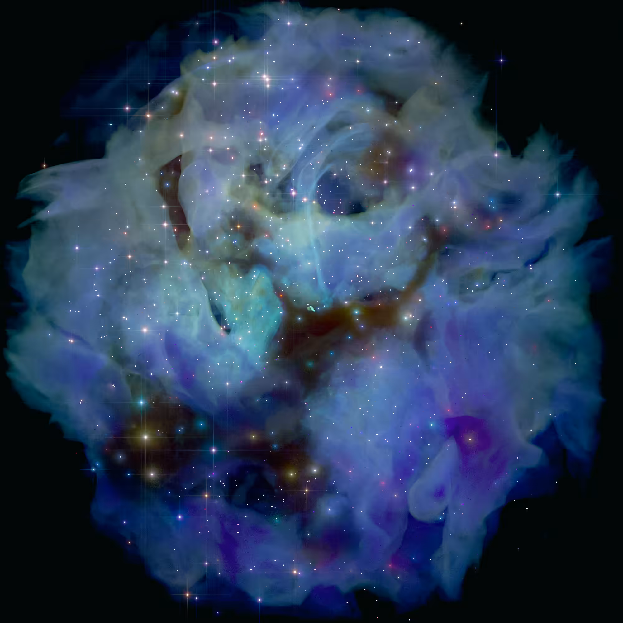 COTTON CONSTELLATION