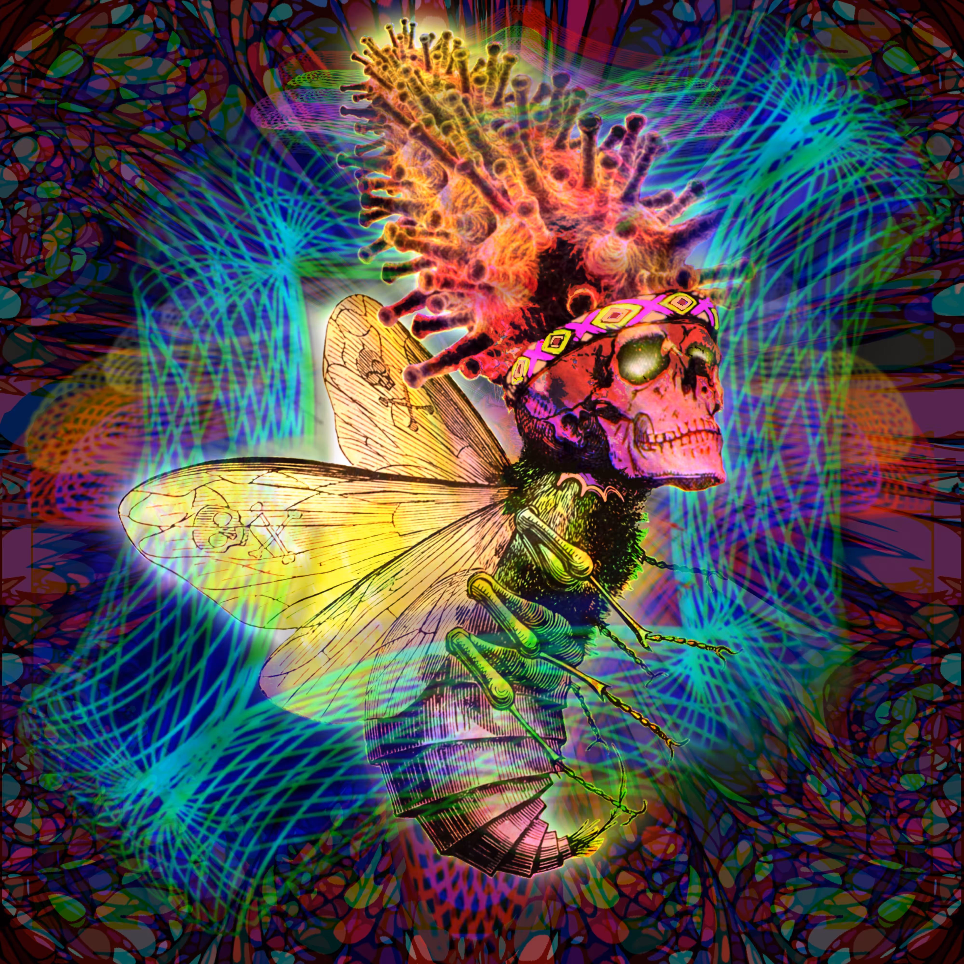 Ruination Meditation 