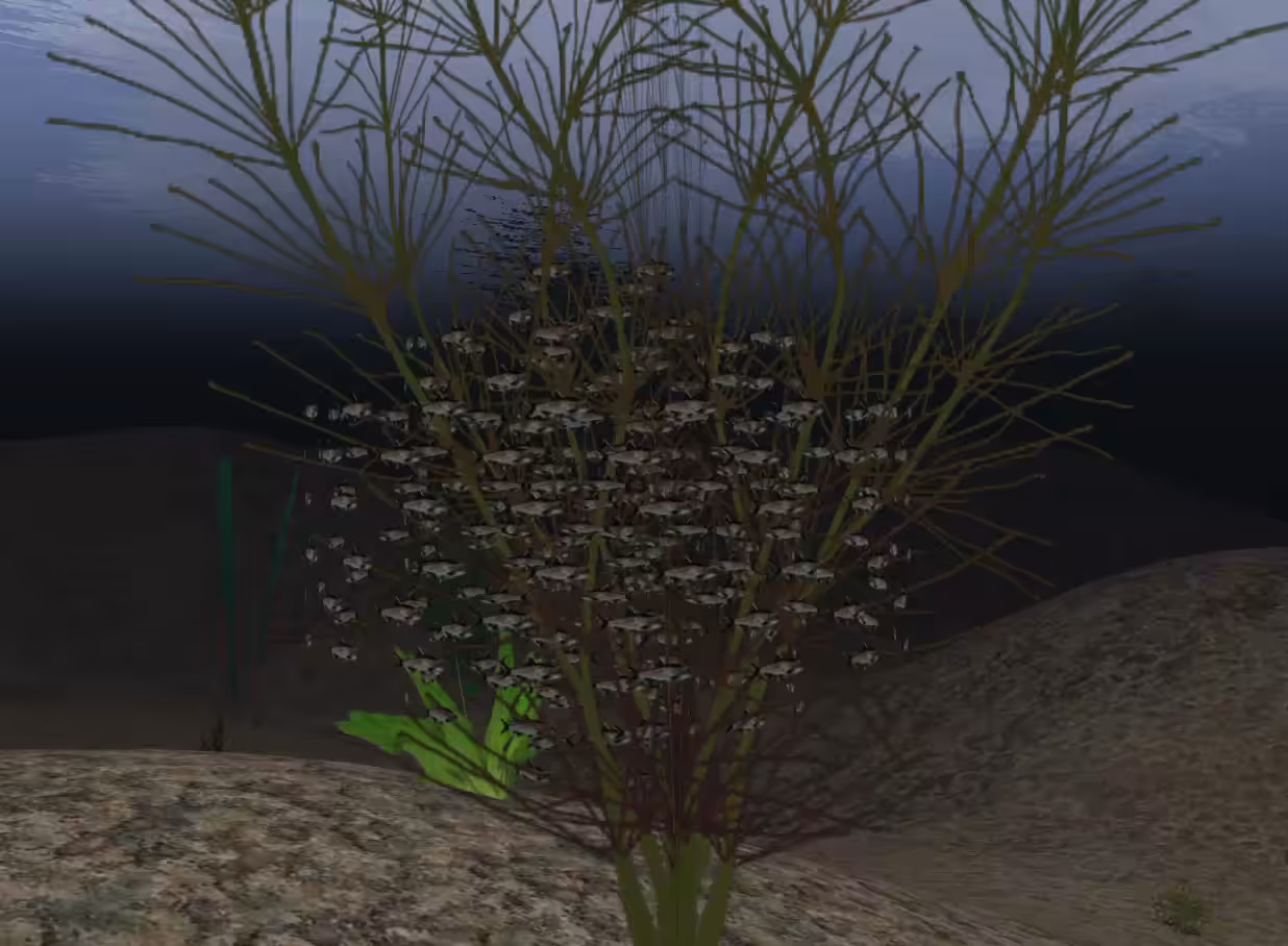 aquatic biomes in the after life