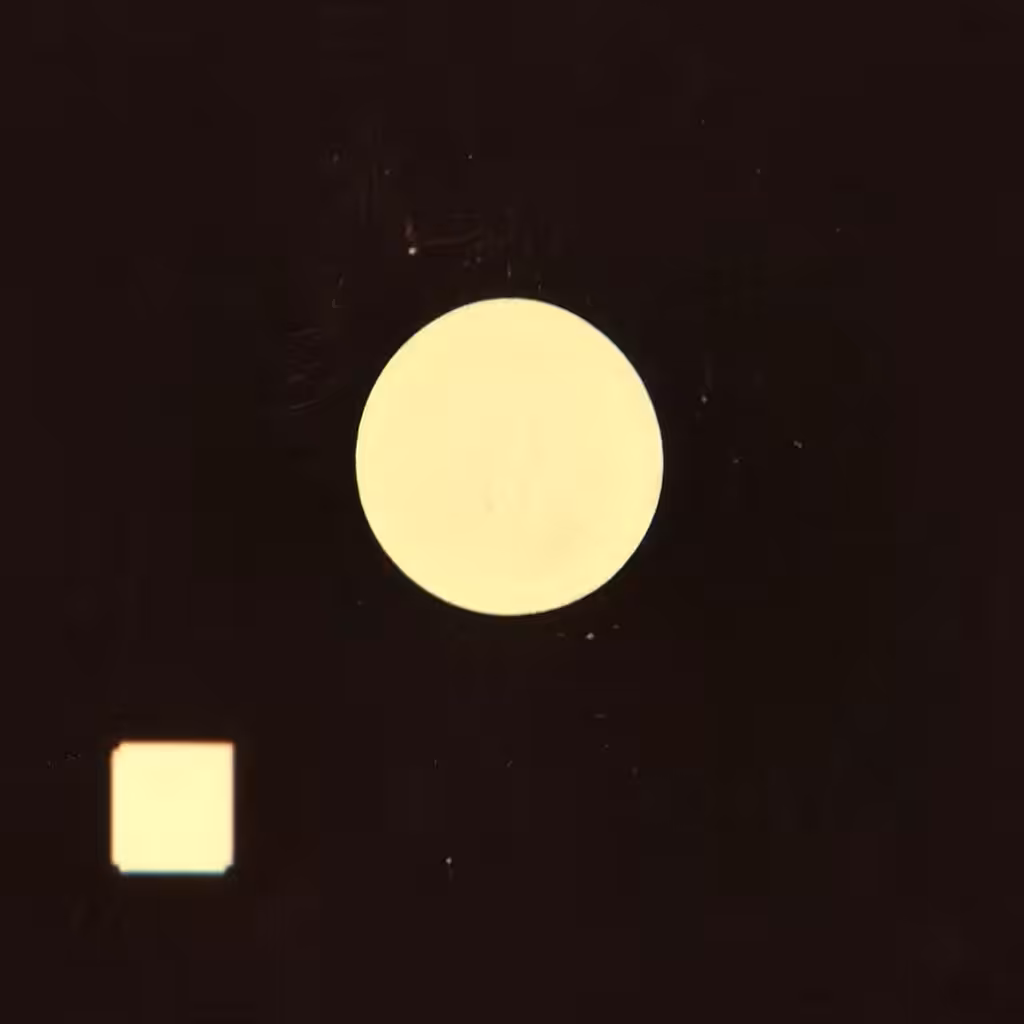 to the moon (2021)