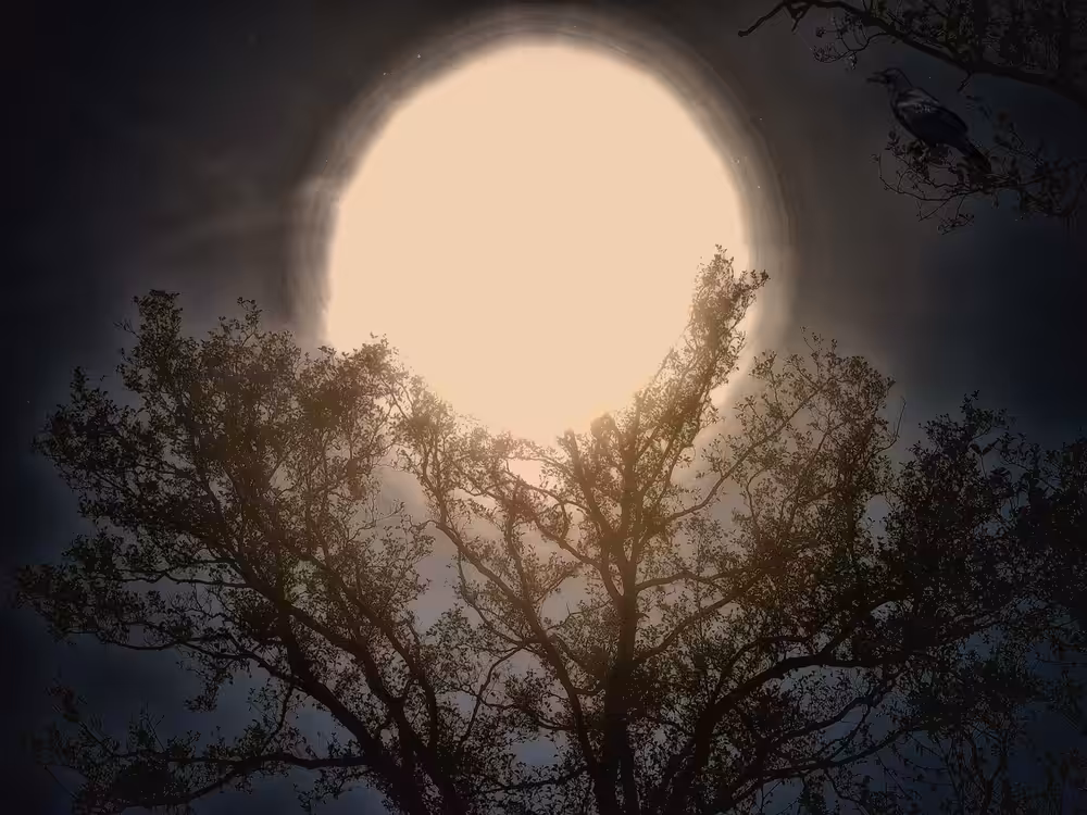The crow and de moon