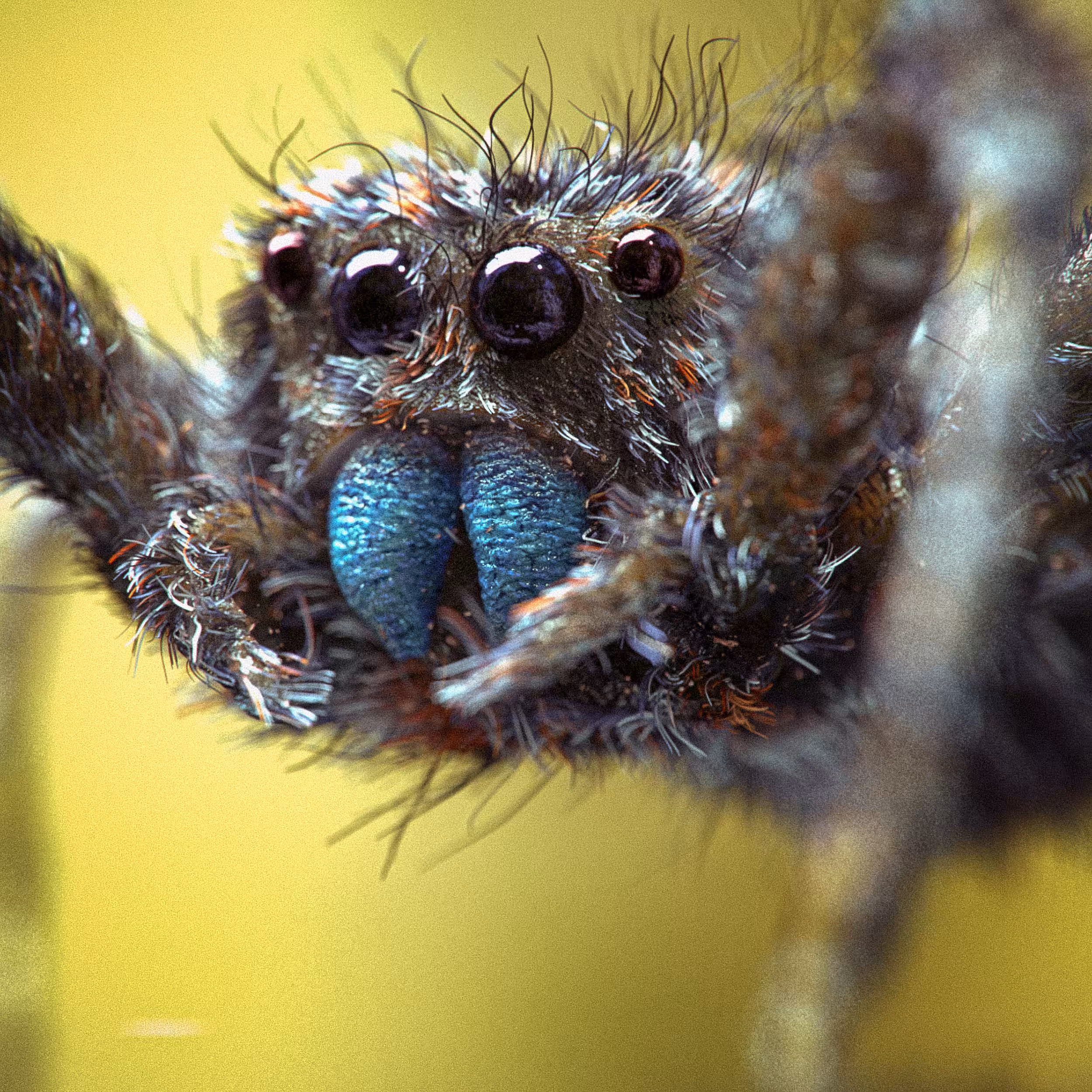 A friend.