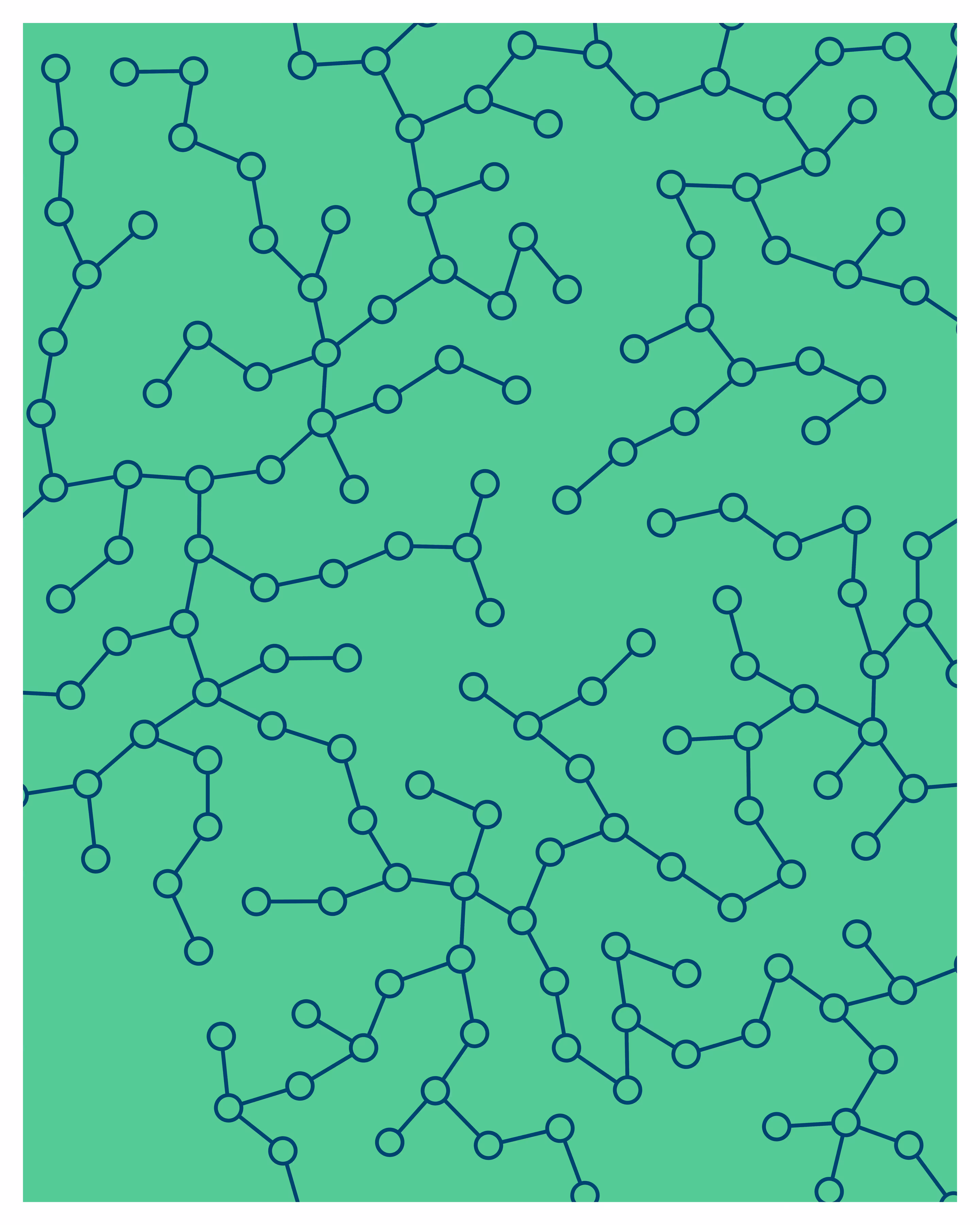 Networks #55