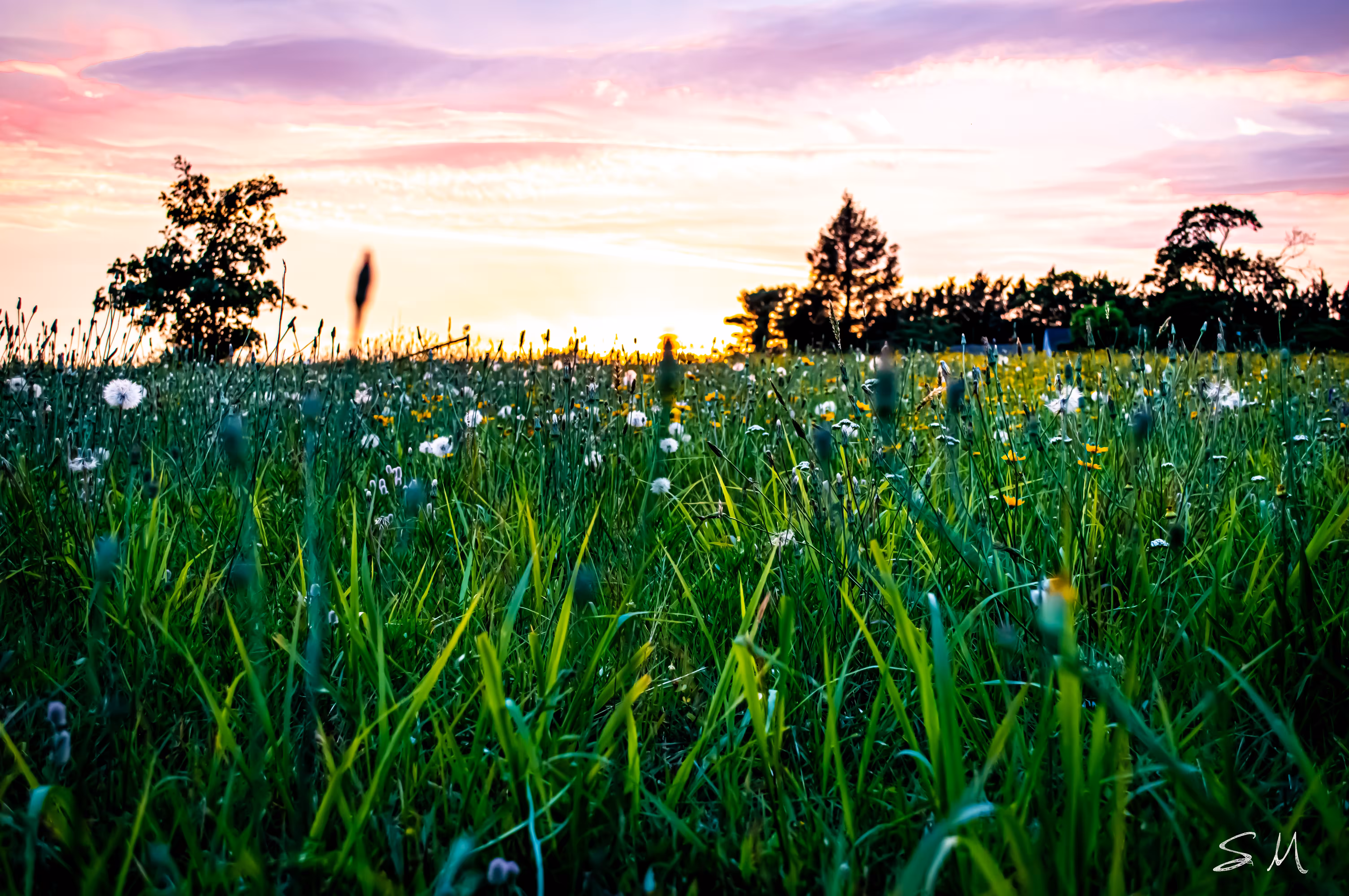 Touching Grass