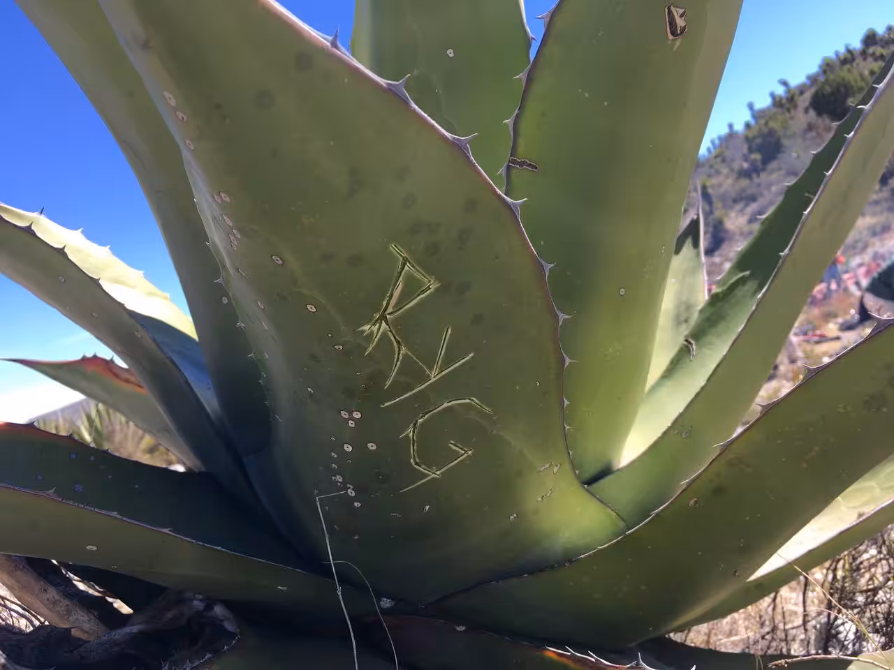 Eternal