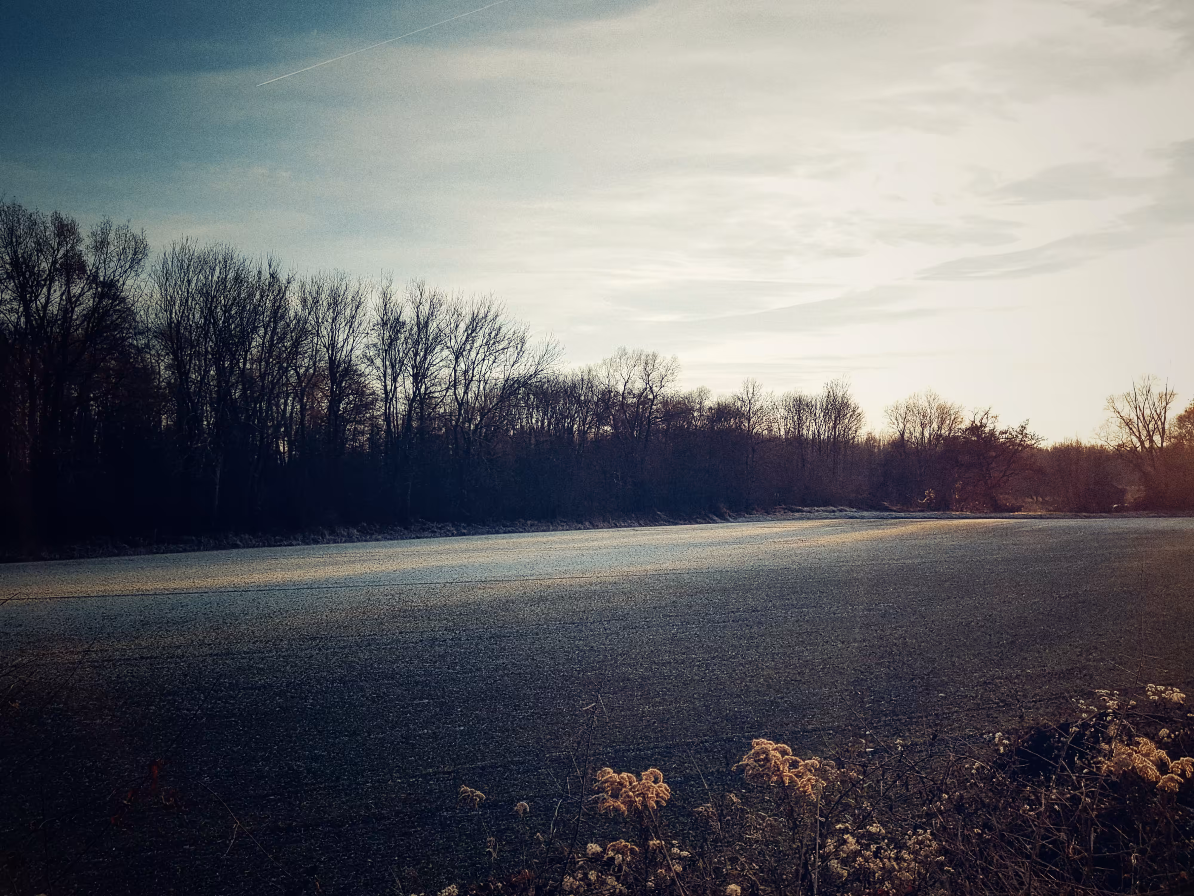 Colors of winter