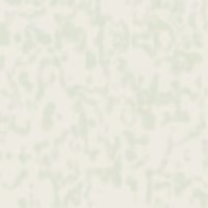Petri 1500 v2 QHD  #1072