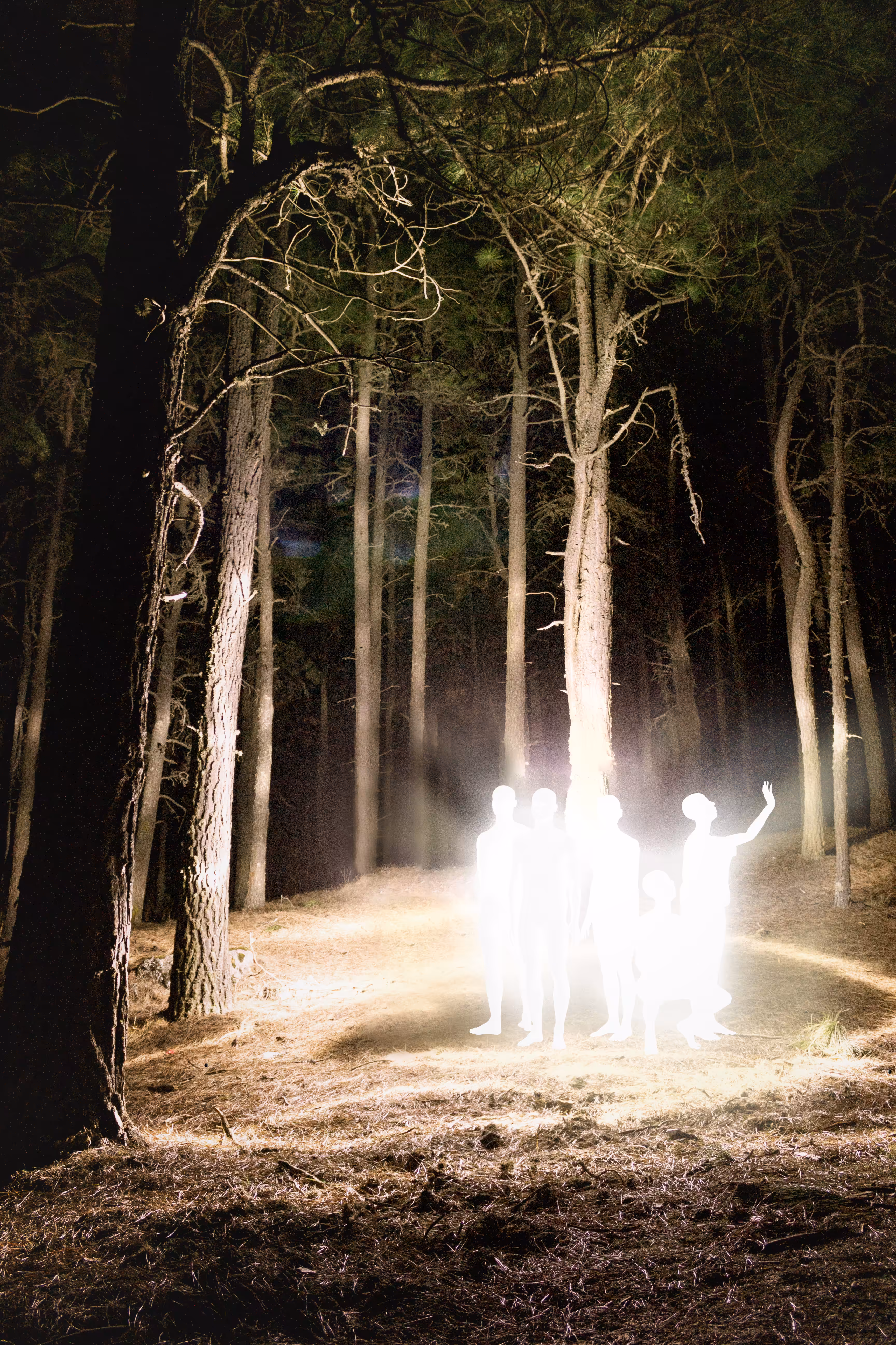 Observe, gather and translate.