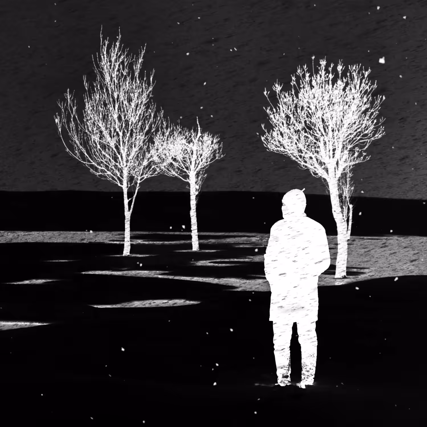 NEGATIVE #15