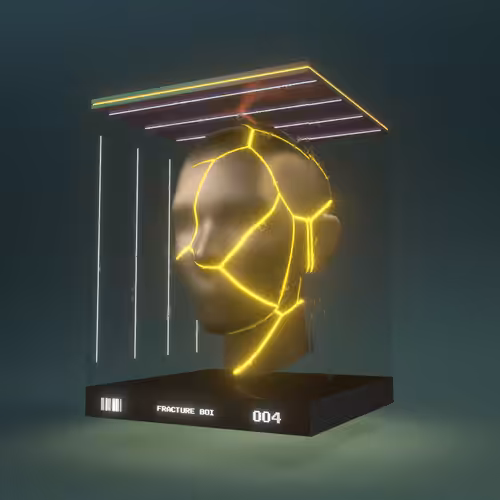 FRACTURE BOI - 004