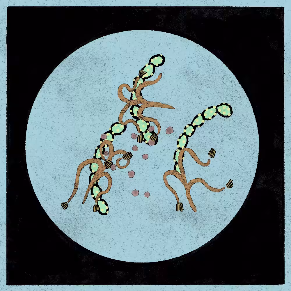 Microbes #235
